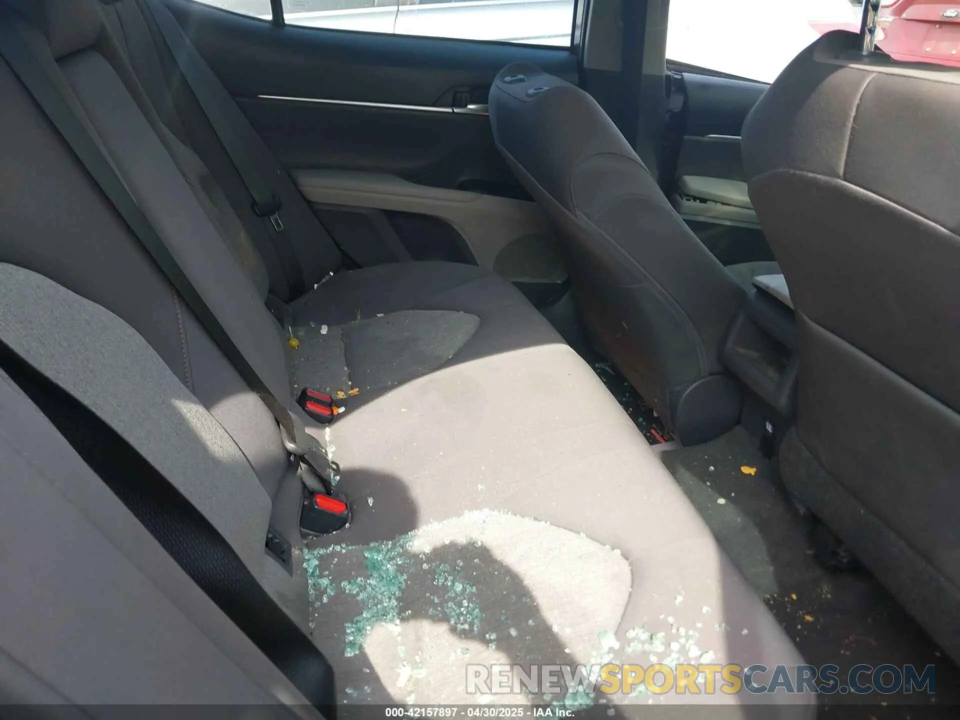8 fotografías del automóvil dañado 4T1B11HK5KU762586 TOYOTA CAMRY 2019