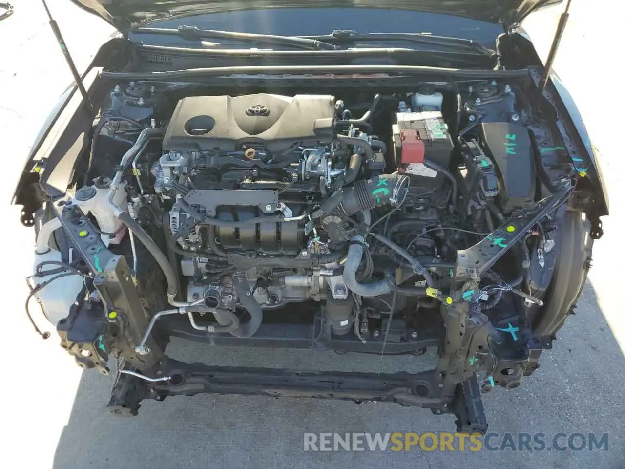 11 fotografías del automóvil dañado 4T1B11HK5KU769876 TOYOTA CAMRY 2019