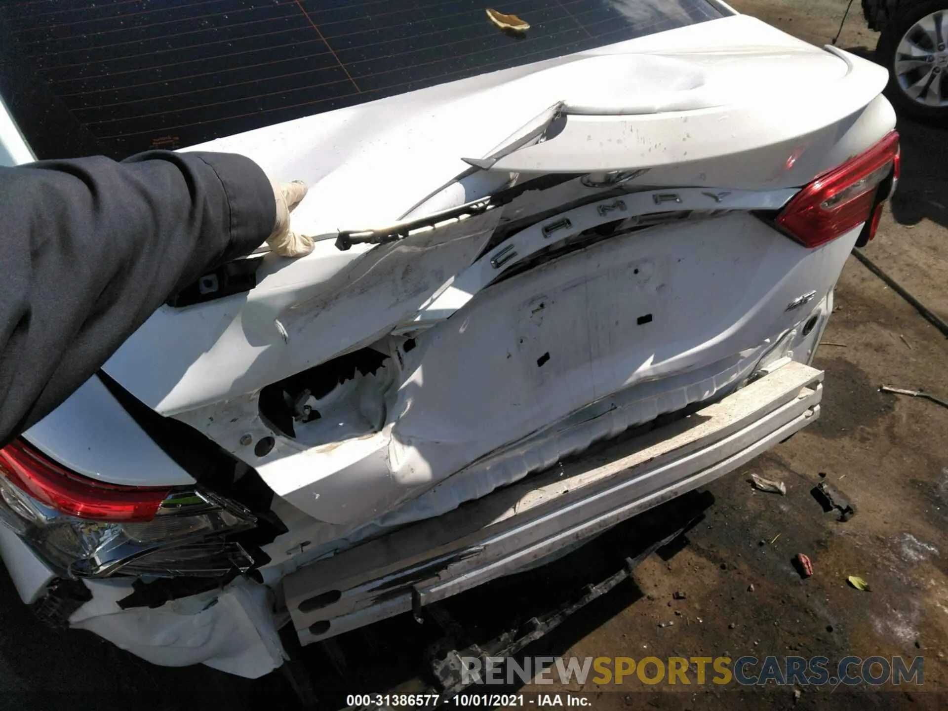 6 fotografías del automóvil dañado 4T1B11HK5KU788623 TOYOTA CAMRY 2019