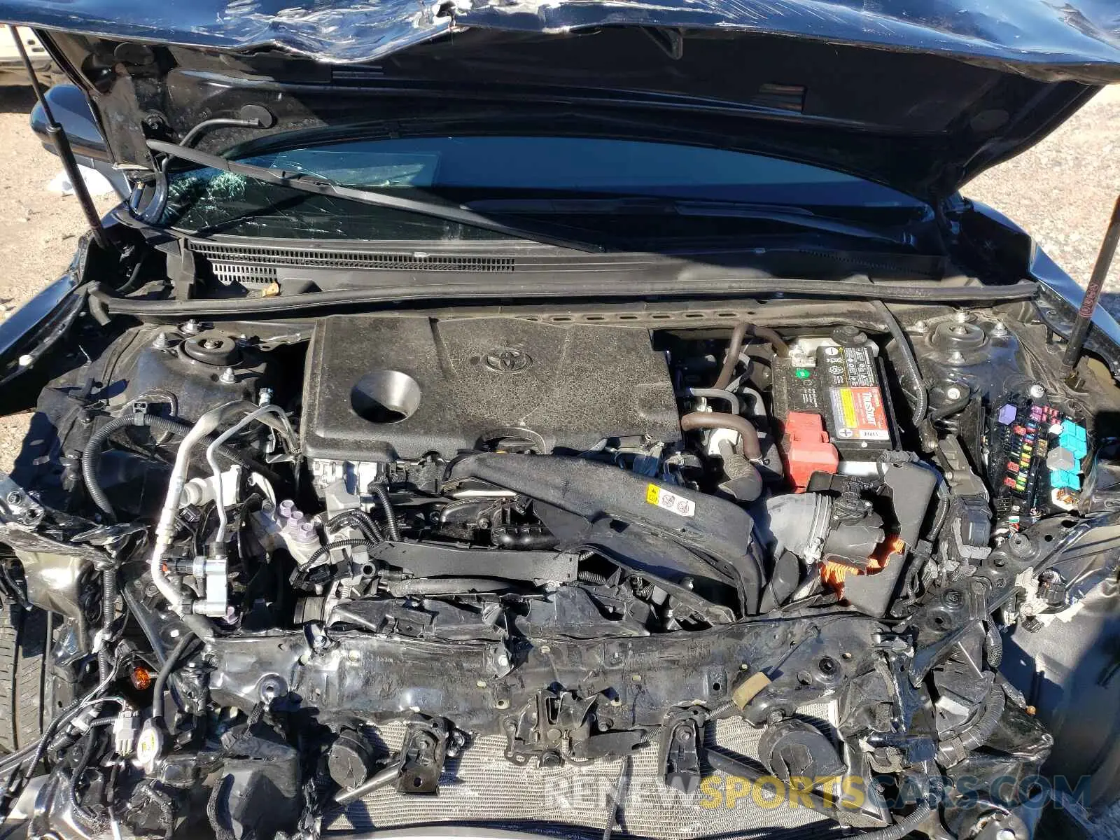 7 fotografías del automóvil dañado 4T1B11HK5KU791344 TOYOTA CAMRY 2019