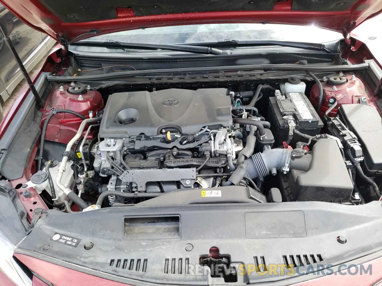 7 fotografías del automóvil dañado 4T1B11HK5KU809695 TOYOTA CAMRY 2019
