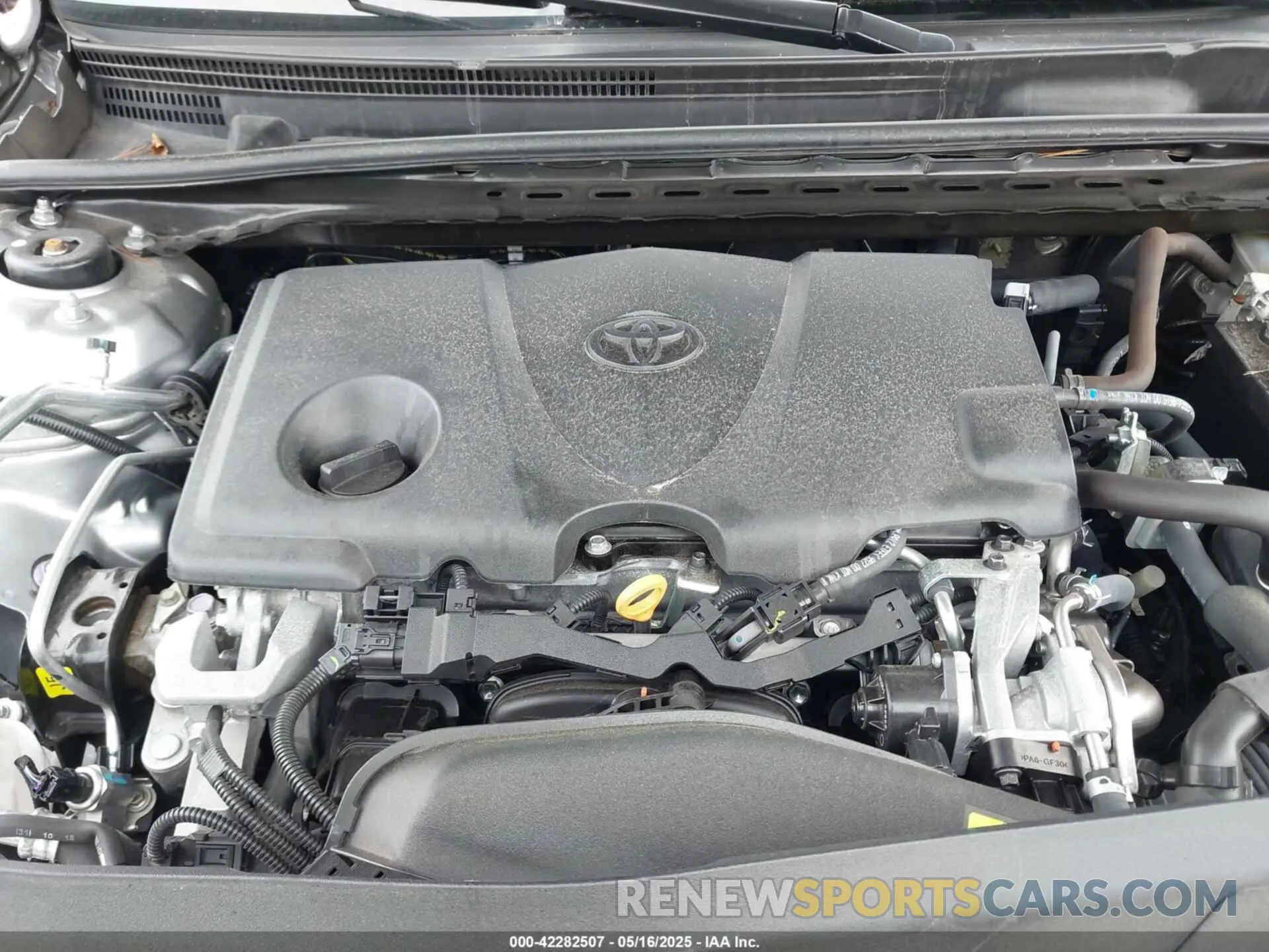 10 fotografías del automóvil dañado 4T1B11HK5KU813553 TOYOTA CAMRY 2019