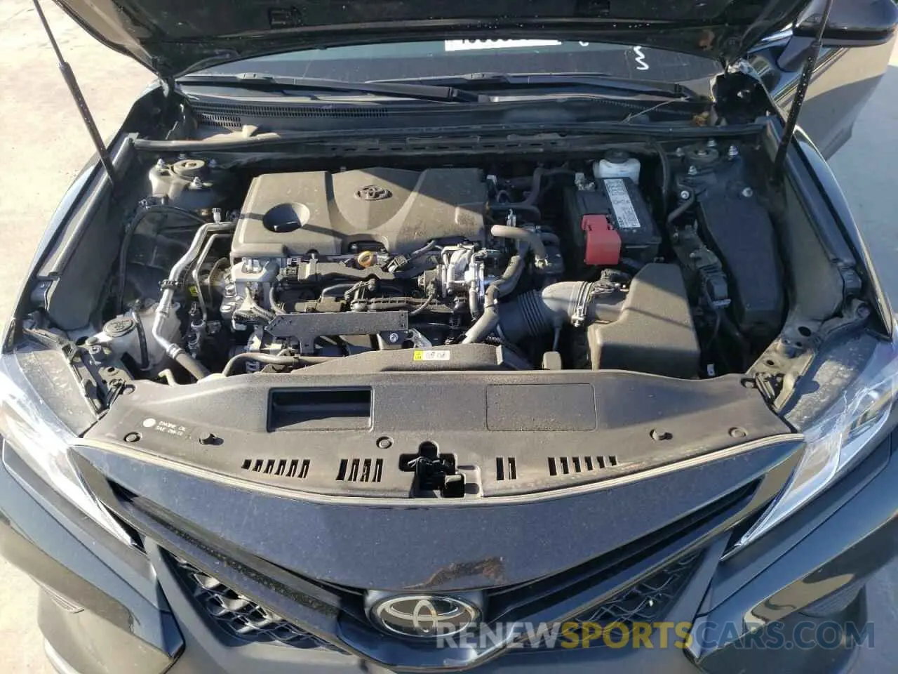 7 fotografías del automóvil dañado 4T1B11HK5KU850926 TOYOTA CAMRY 2019