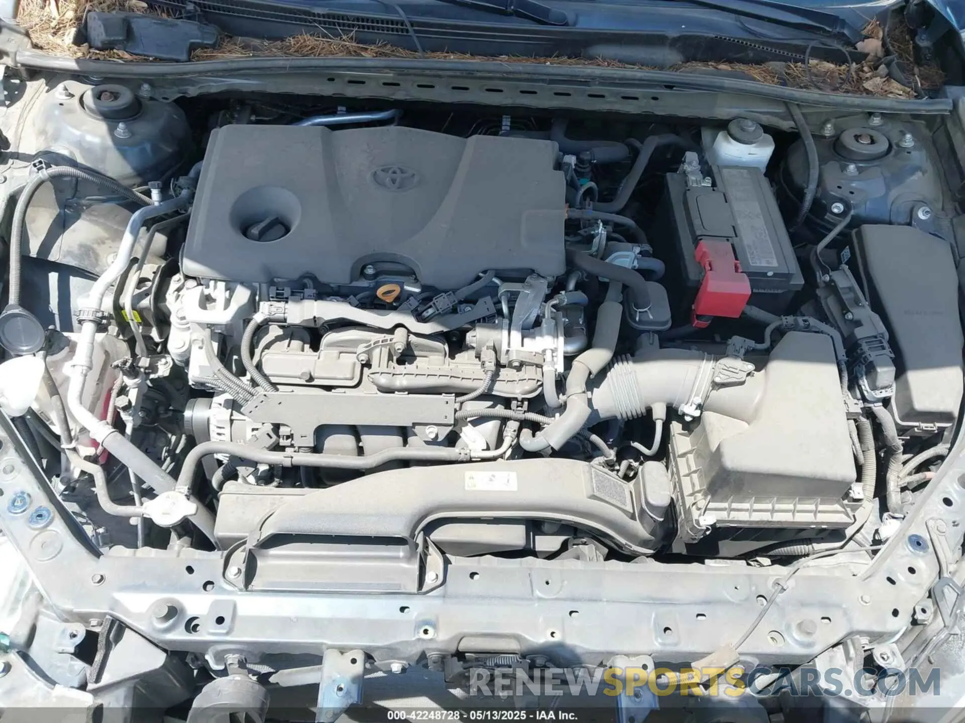 10 fotografías del automóvil dañado 4T1B11HK5KU852174 TOYOTA CAMRY 2019