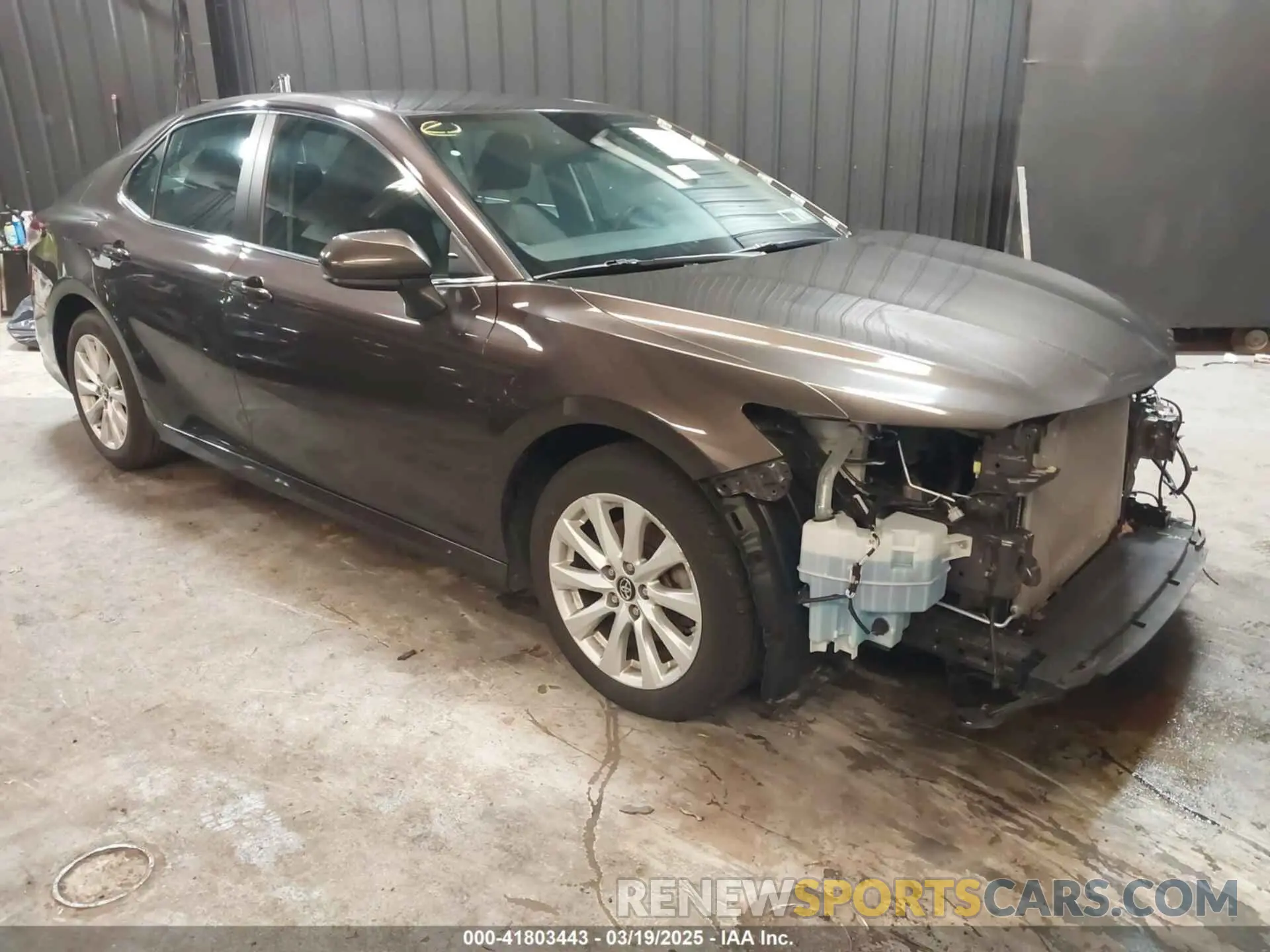 1 fotografías del automóvil dañado 4T1B11HK5KU852482 TOYOTA CAMRY 2019