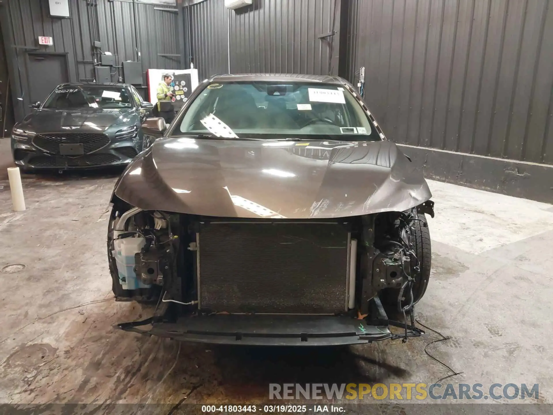 13 fotografías del automóvil dañado 4T1B11HK5KU852482 TOYOTA CAMRY 2019