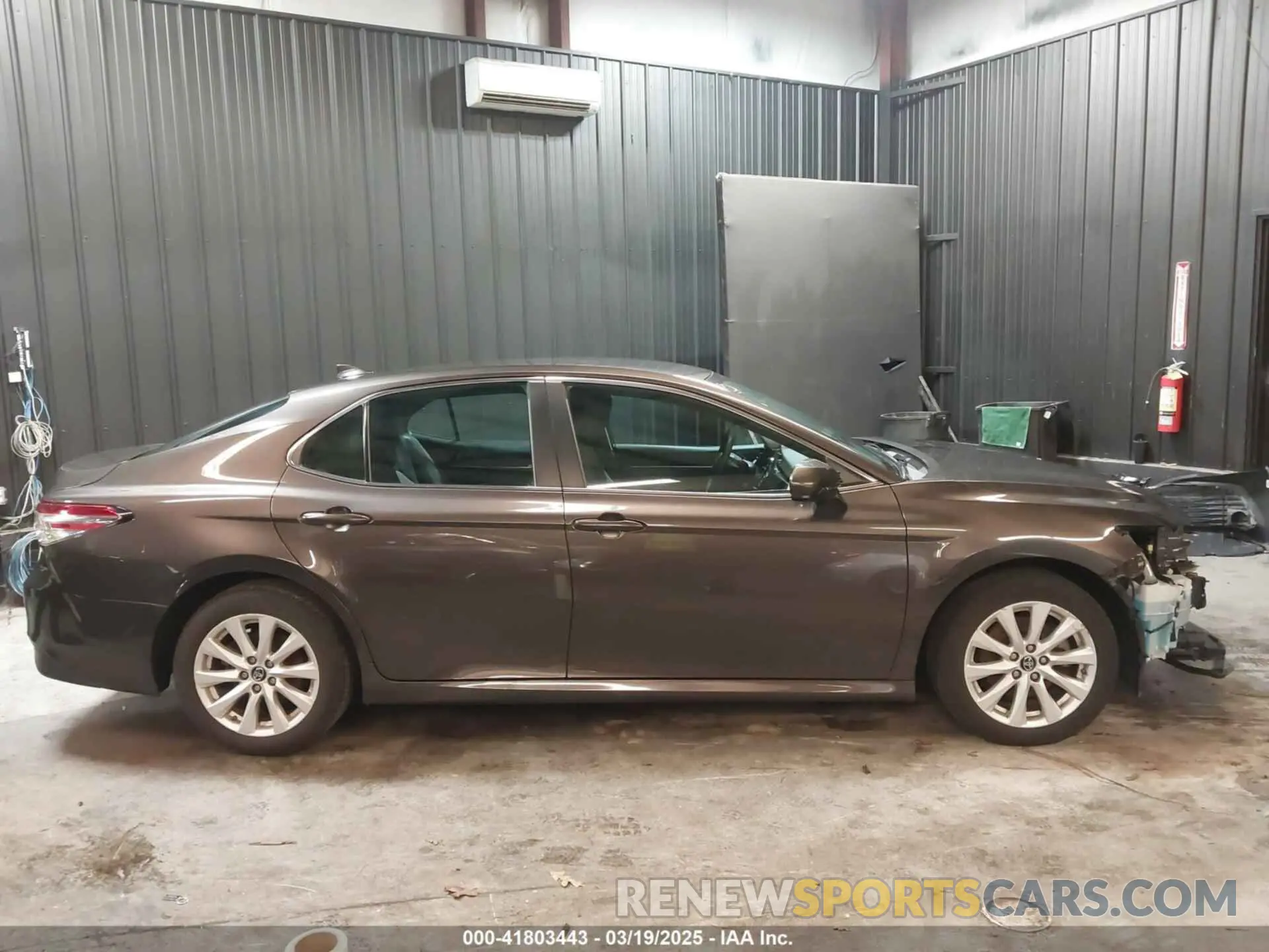 14 fotografías del automóvil dañado 4T1B11HK5KU852482 TOYOTA CAMRY 2019