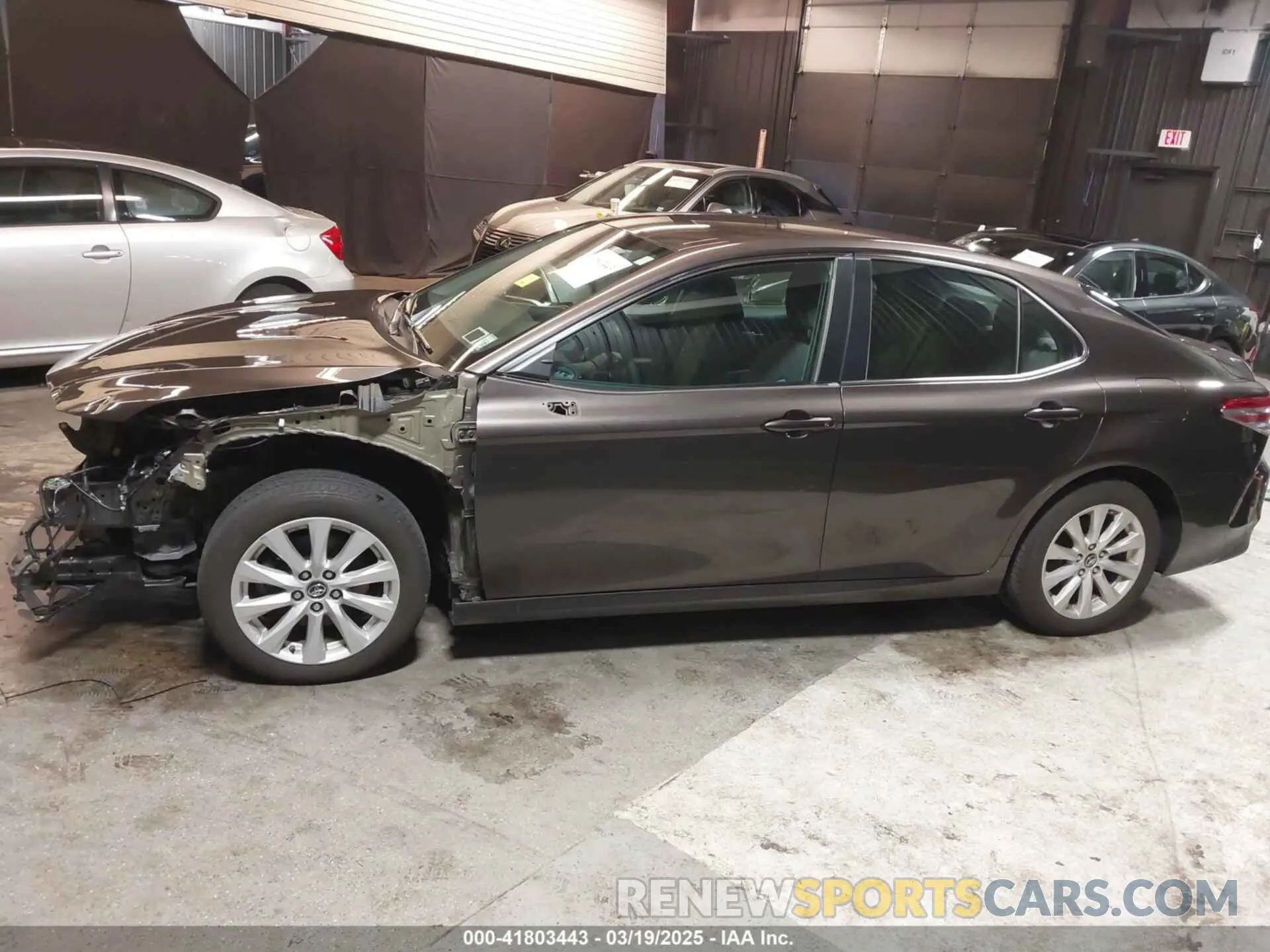 15 fotografías del automóvil dañado 4T1B11HK5KU852482 TOYOTA CAMRY 2019