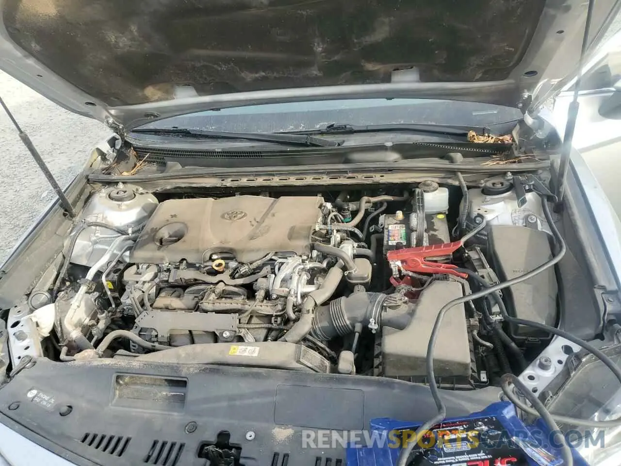 11 fotografías del automóvil dañado 4T1B11HK6KU170078 TOYOTA CAMRY 2019