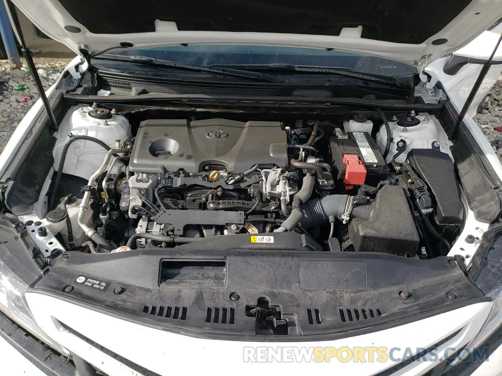 7 fotografías del automóvil dañado 4T1B11HK6KU173031 TOYOTA CAMRY 2019