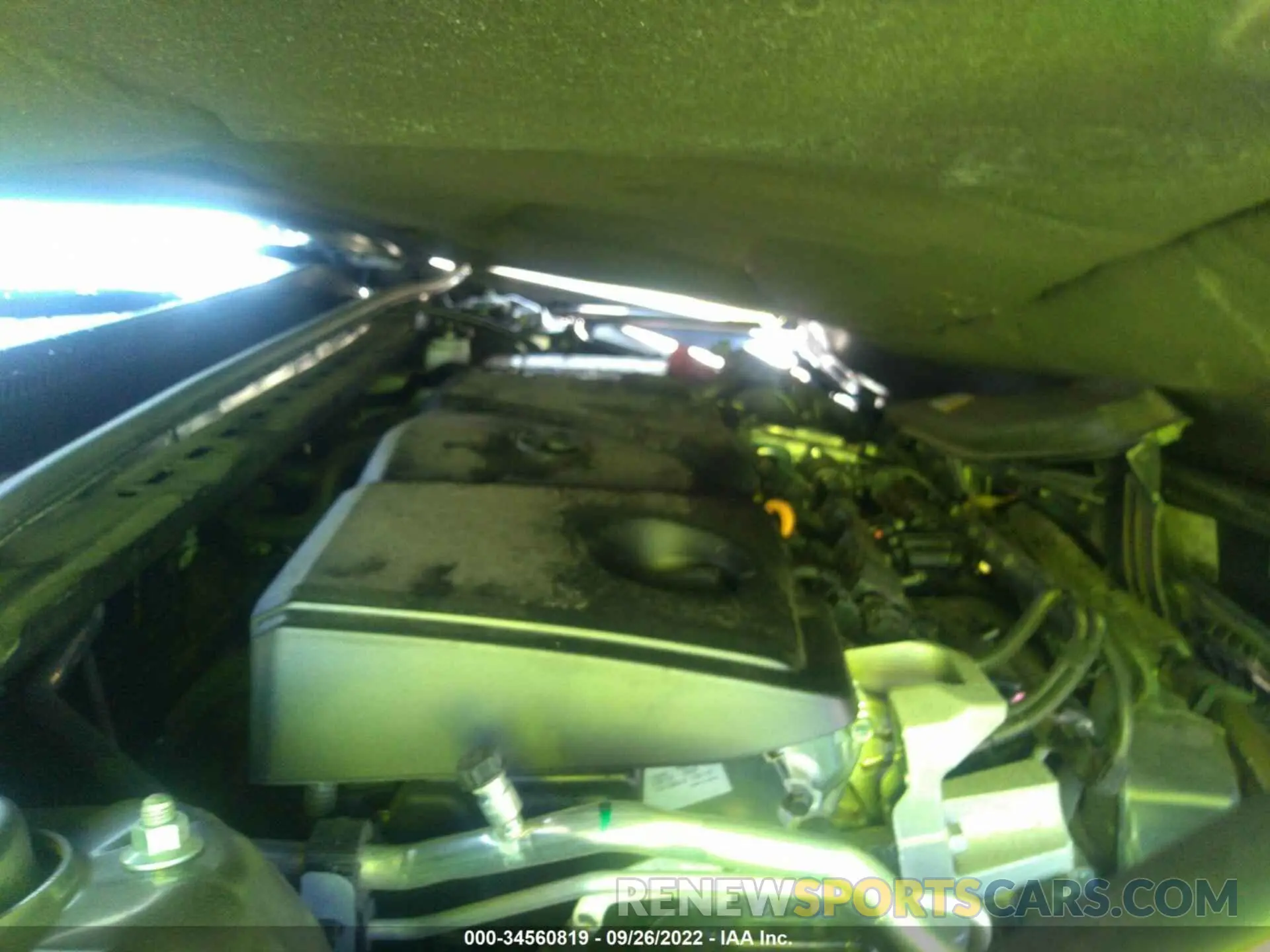 10 fotografías del automóvil dañado 4T1B11HK6KU182330 TOYOTA CAMRY 2019
