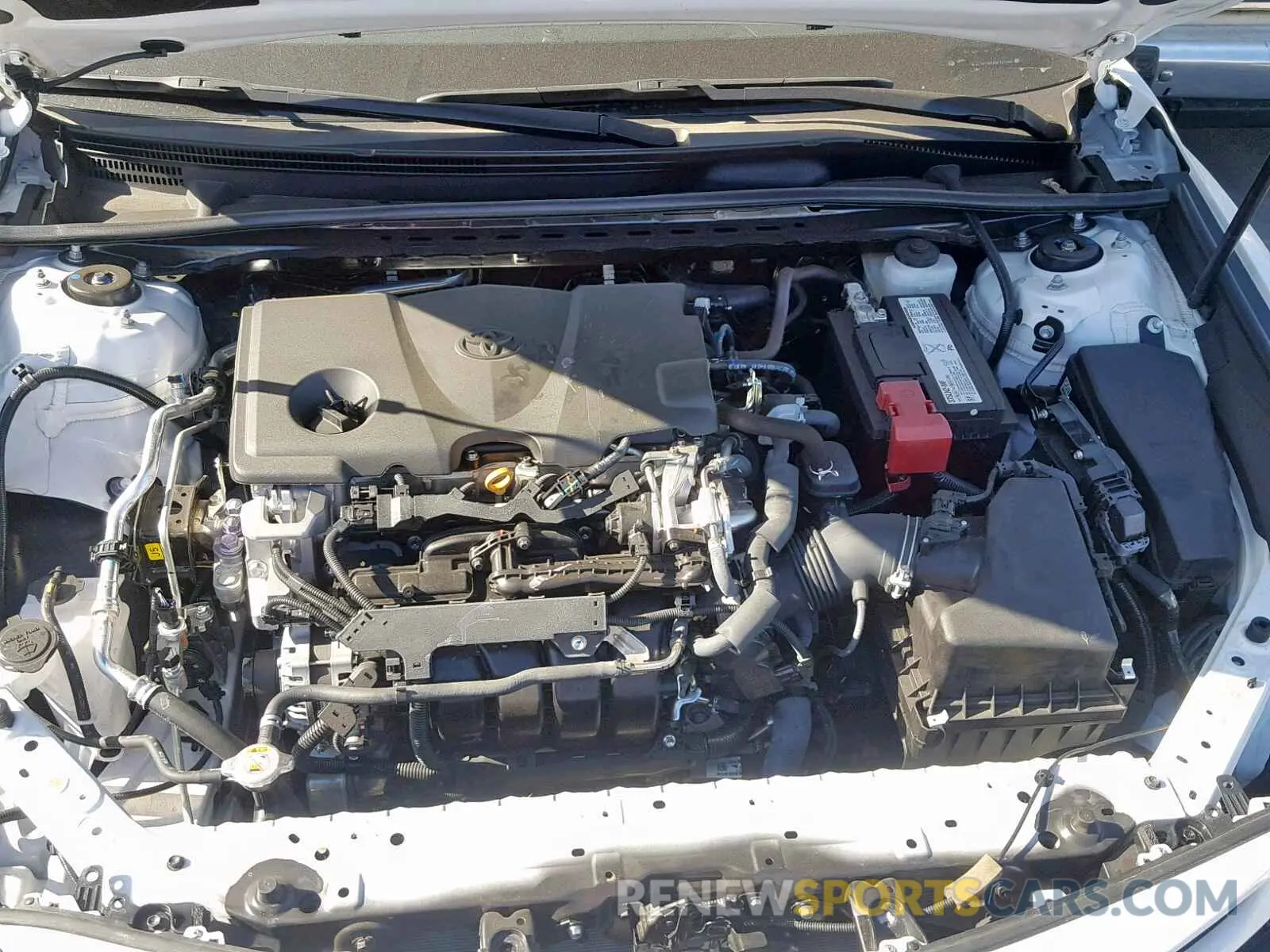 7 fotografías del automóvil dañado 4T1B11HK6KU187589 TOYOTA CAMRY 2019