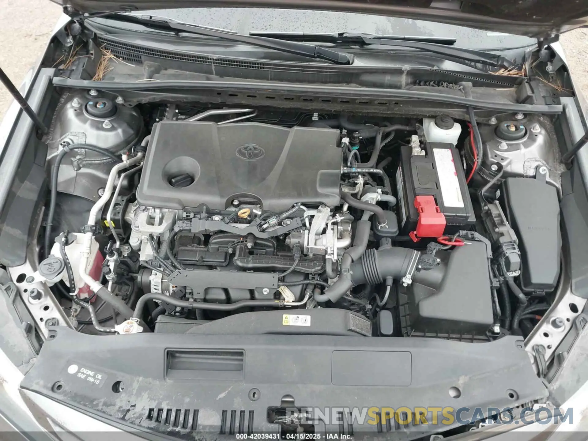 10 fotografías del automóvil dañado 4T1B11HK6KU193067 TOYOTA CAMRY 2019