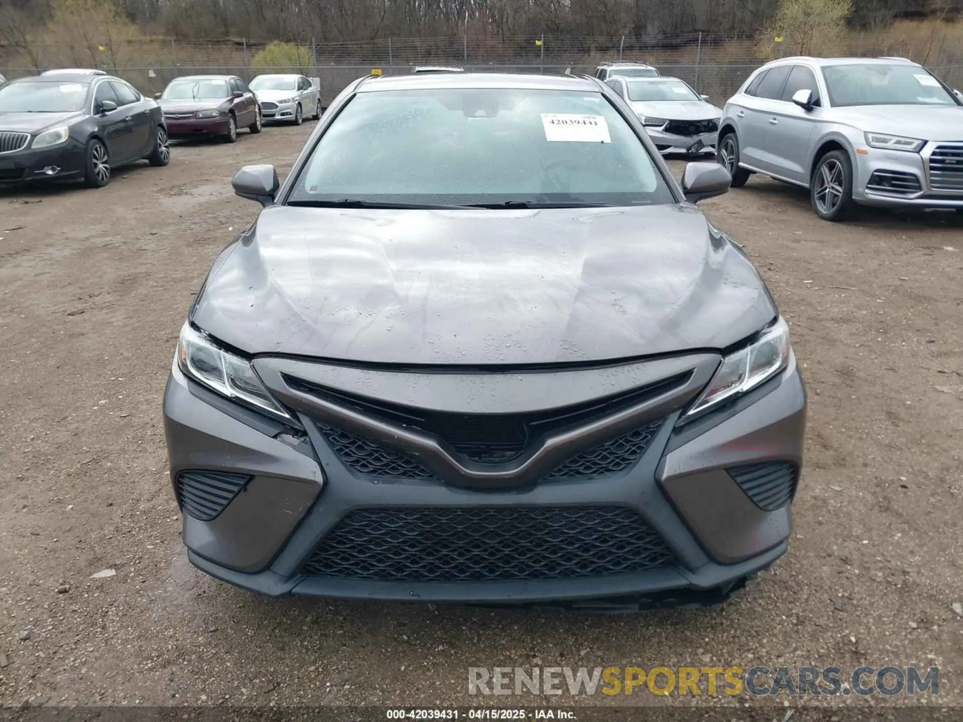 12 fotografías del automóvil dañado 4T1B11HK6KU193067 TOYOTA CAMRY 2019