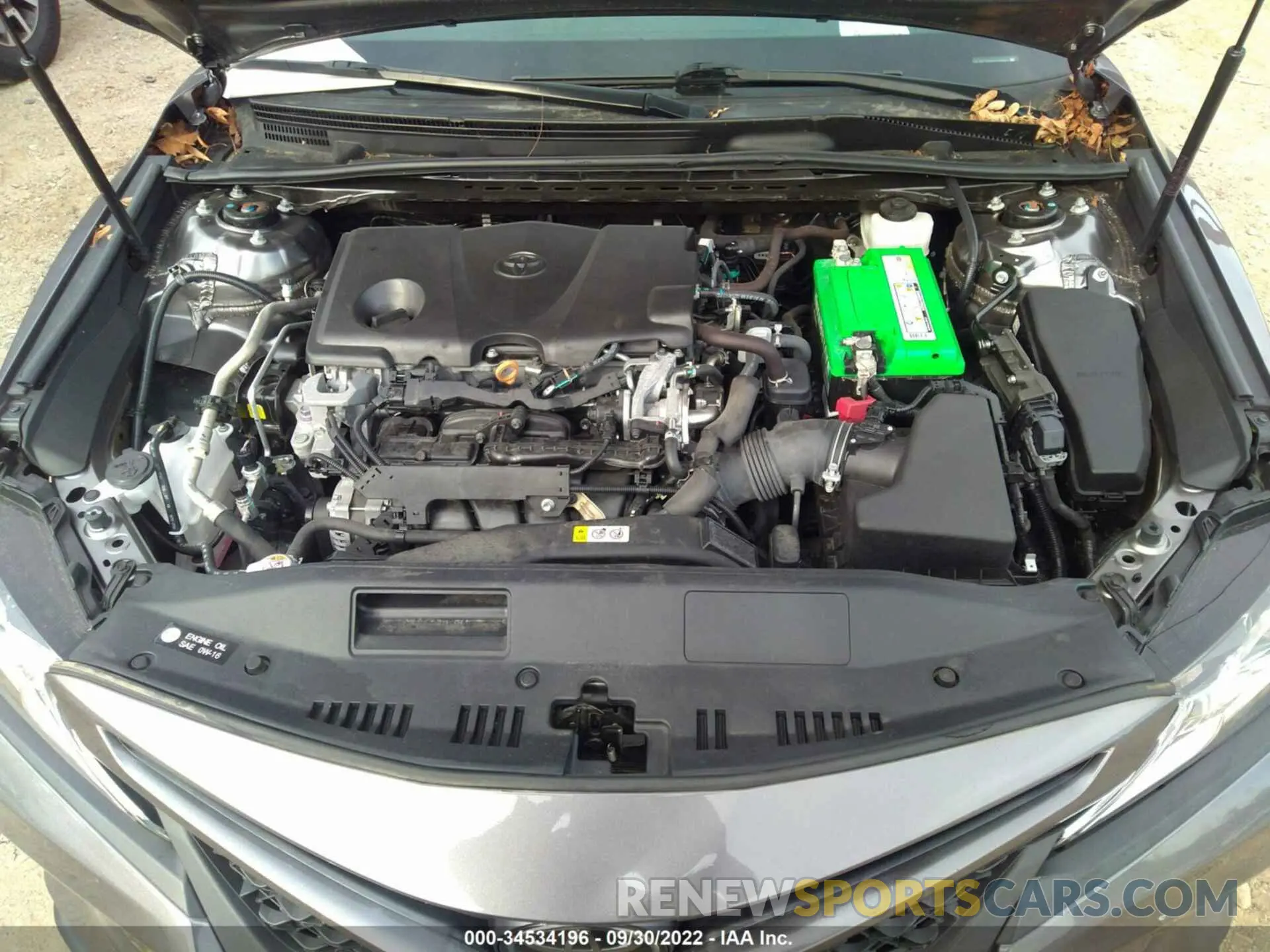 10 fotografías del automóvil dañado 4T1B11HK6KU209865 TOYOTA CAMRY 2019