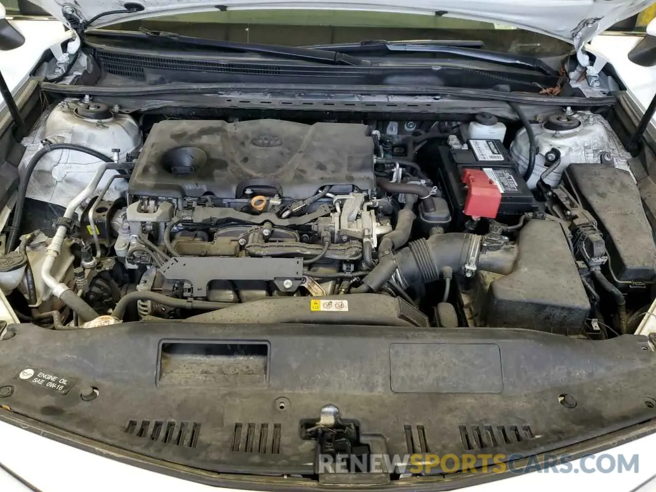 11 fotografías del automóvil dañado 4T1B11HK6KU220428 TOYOTA CAMRY 2019