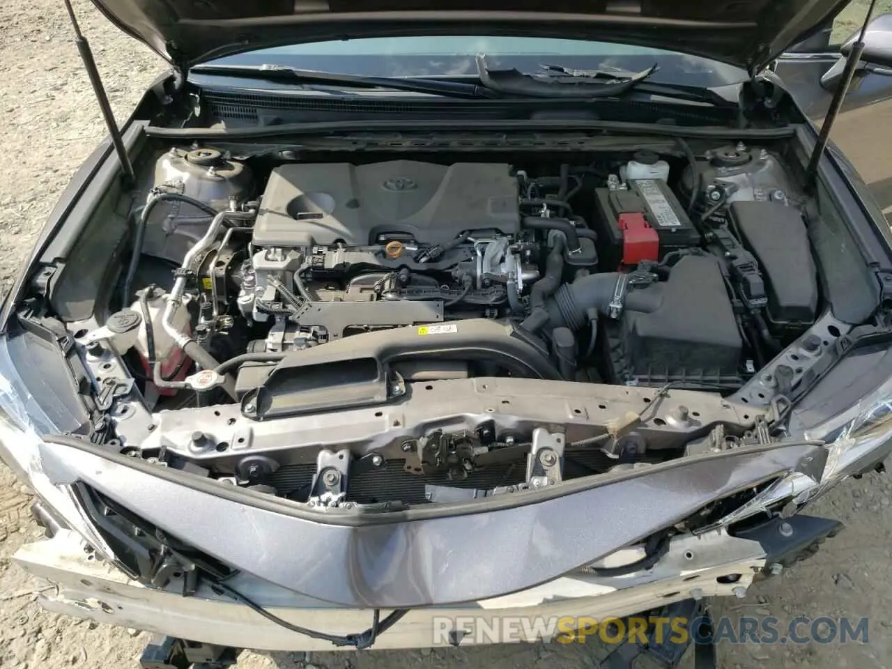 7 fotografías del automóvil dañado 4T1B11HK6KU226844 TOYOTA CAMRY 2019