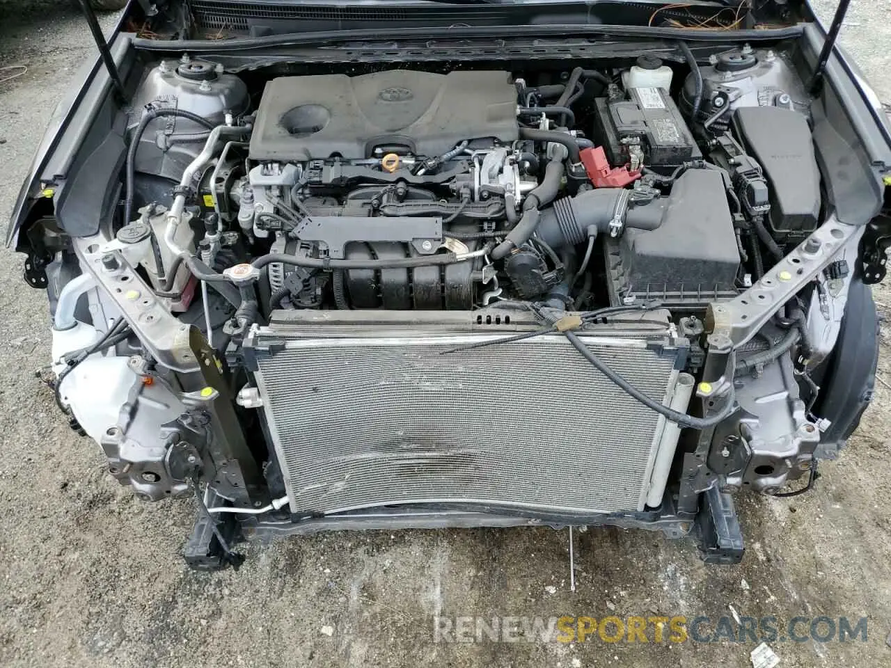 11 fotografías del automóvil dañado 4T1B11HK6KU228626 TOYOTA CAMRY 2019