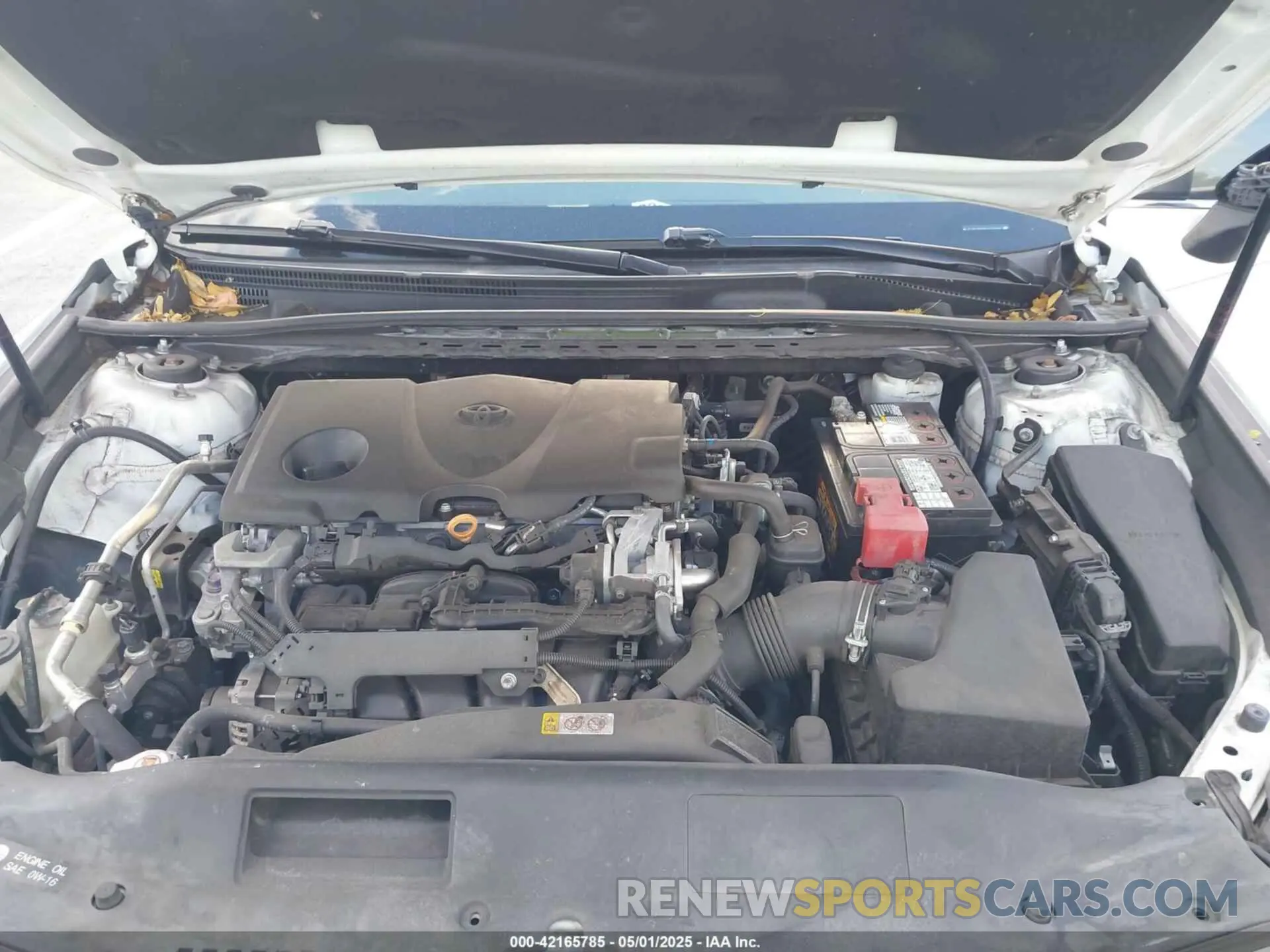 10 fotografías del automóvil dañado 4T1B11HK6KU230652 TOYOTA CAMRY 2019