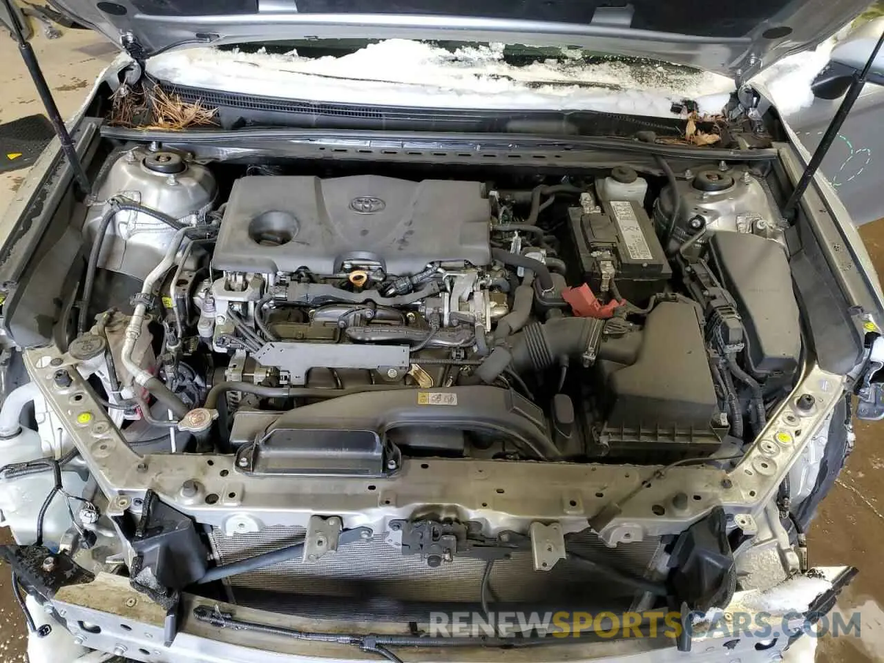11 fotografías del automóvil dañado 4T1B11HK6KU273551 TOYOTA CAMRY 2019