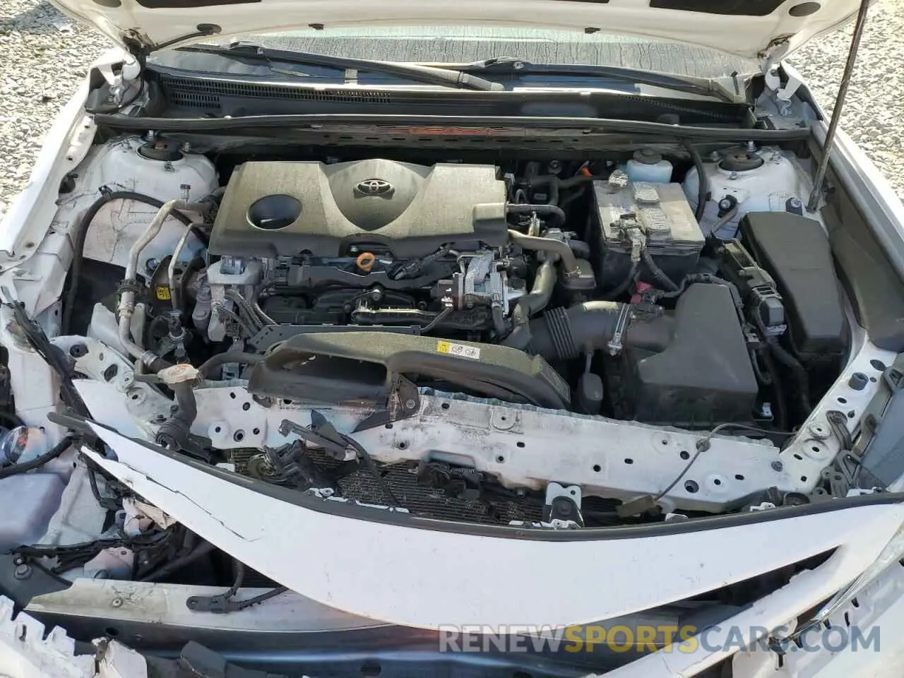 11 fotografías del automóvil dañado 4T1B11HK6KU274084 TOYOTA CAMRY 2019