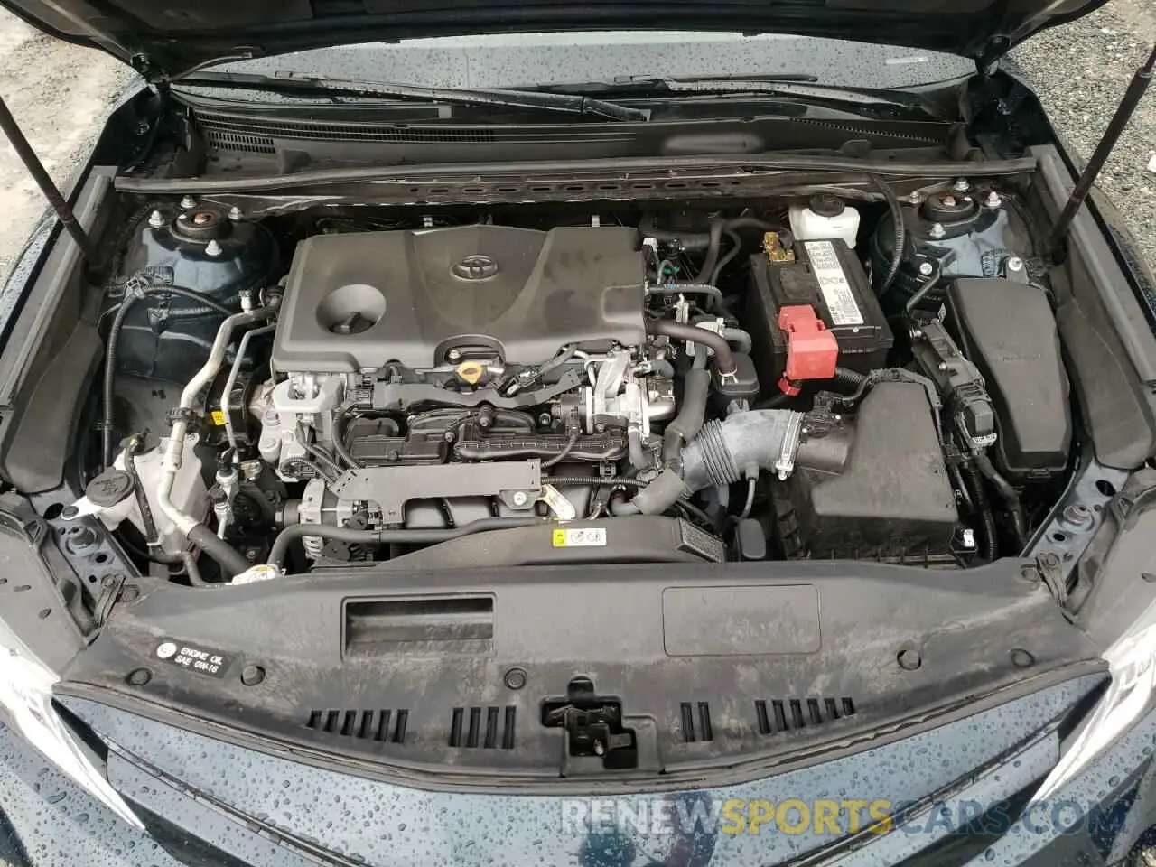 7 fotografías del automóvil dañado 4T1B11HK6KU281097 TOYOTA CAMRY 2019