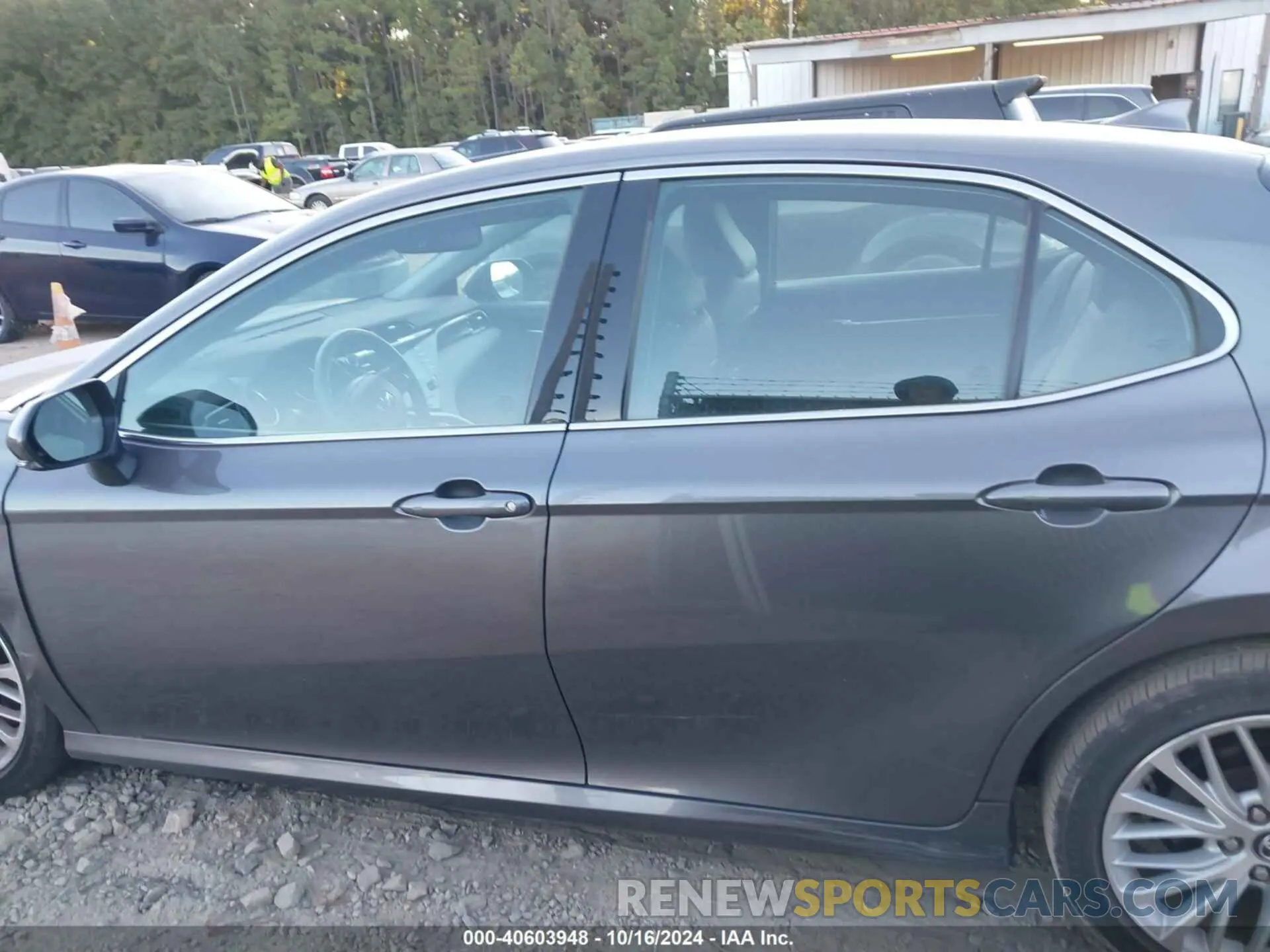 14 fotografías del automóvil dañado 4T1B11HK6KU289703 TOYOTA CAMRY 2019