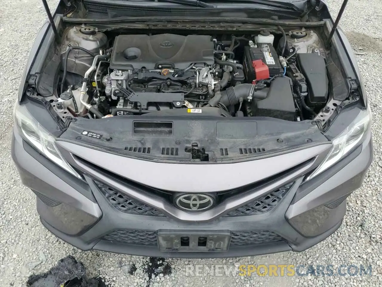 12 fotografías del automóvil dañado 4T1B11HK6KU702896 TOYOTA CAMRY 2019