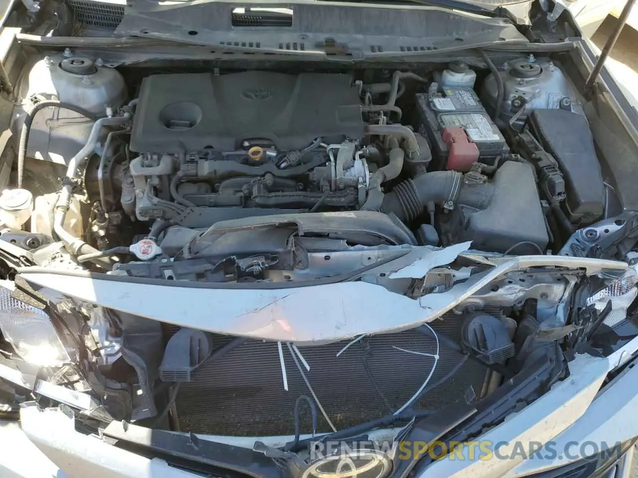 11 fotografías del automóvil dañado 4T1B11HK6KU754643 TOYOTA CAMRY 2019