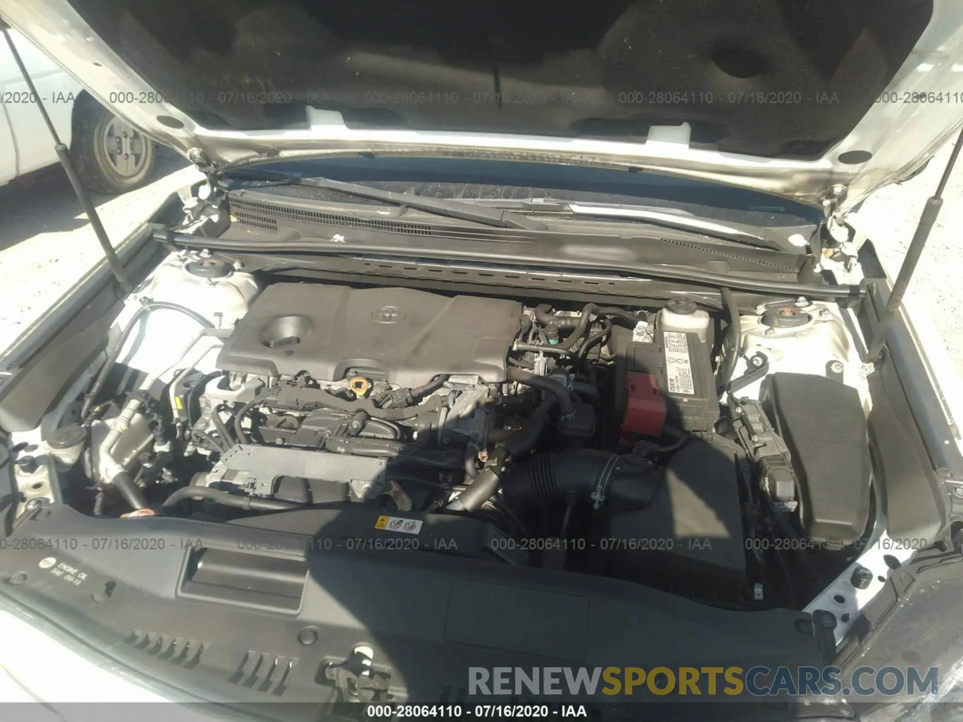 10 fotografías del automóvil dañado 4T1B11HK6KU759096 TOYOTA CAMRY 2019