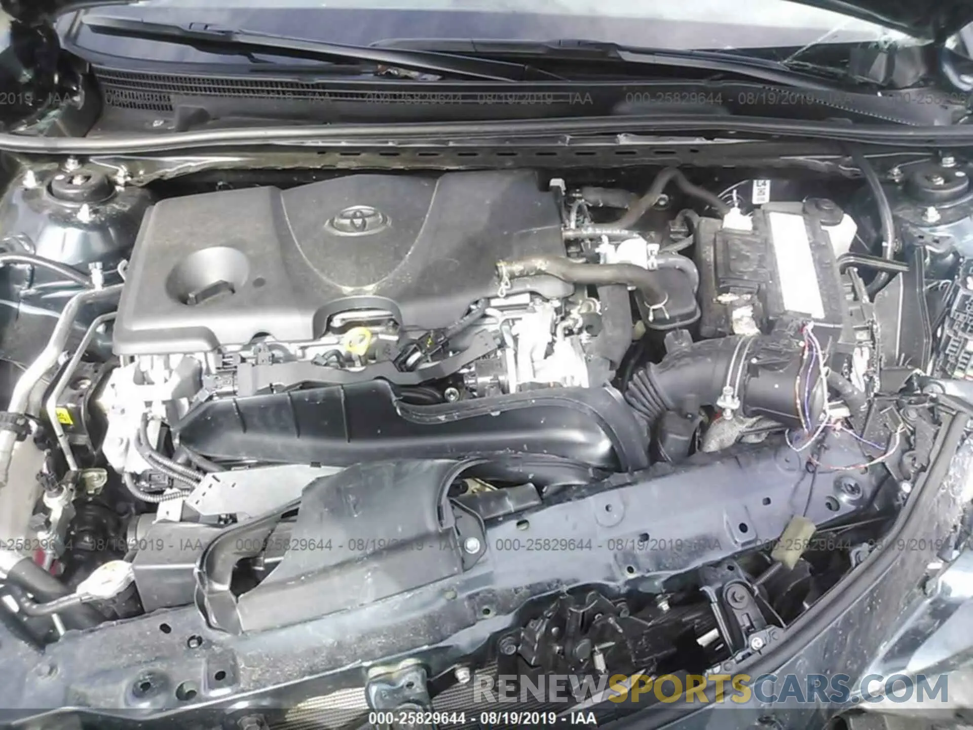 10 fotografías del automóvil dañado 4T1B11HK6KU759230 TOYOTA CAMRY 2019