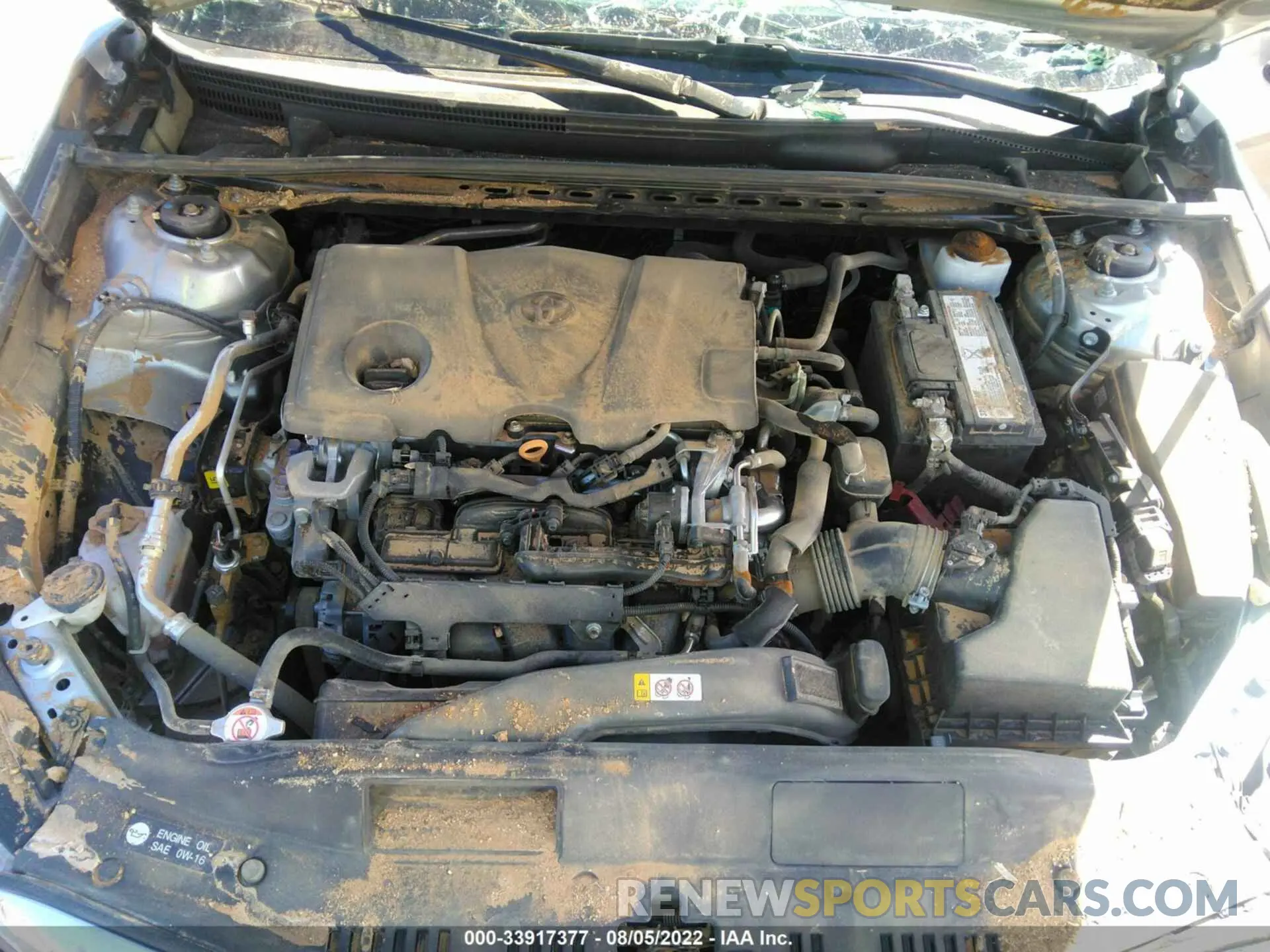 10 fotografías del automóvil dañado 4T1B11HK6KU762709 TOYOTA CAMRY 2019