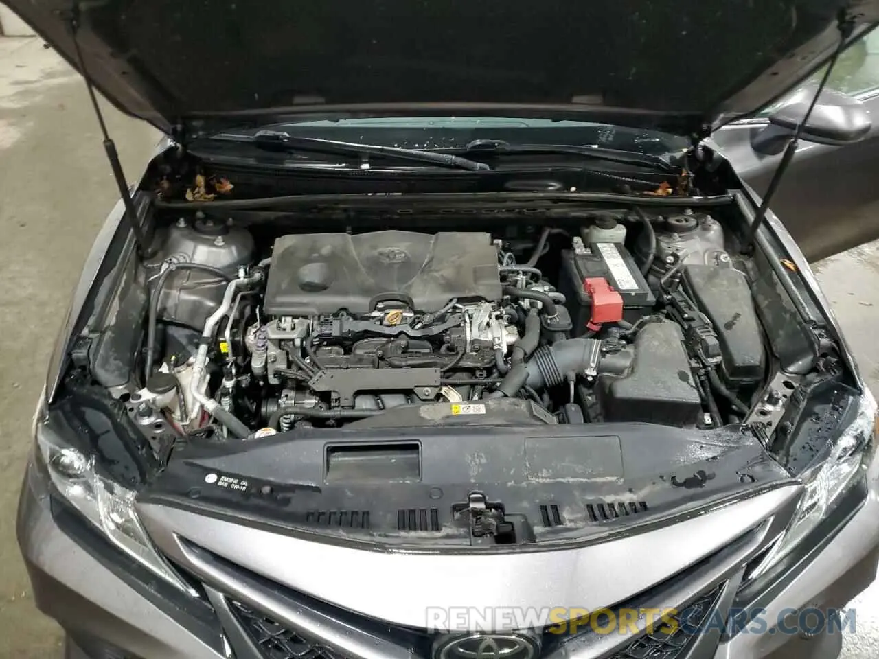 11 fotografías del automóvil dañado 4T1B11HK6KU776156 TOYOTA CAMRY 2019