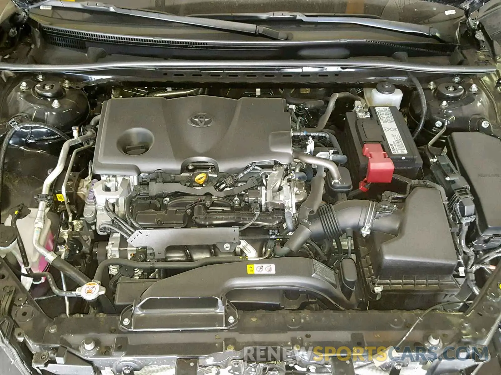 7 fotografías del automóvil dañado 4T1B11HK6KU804294 TOYOTA CAMRY 2019