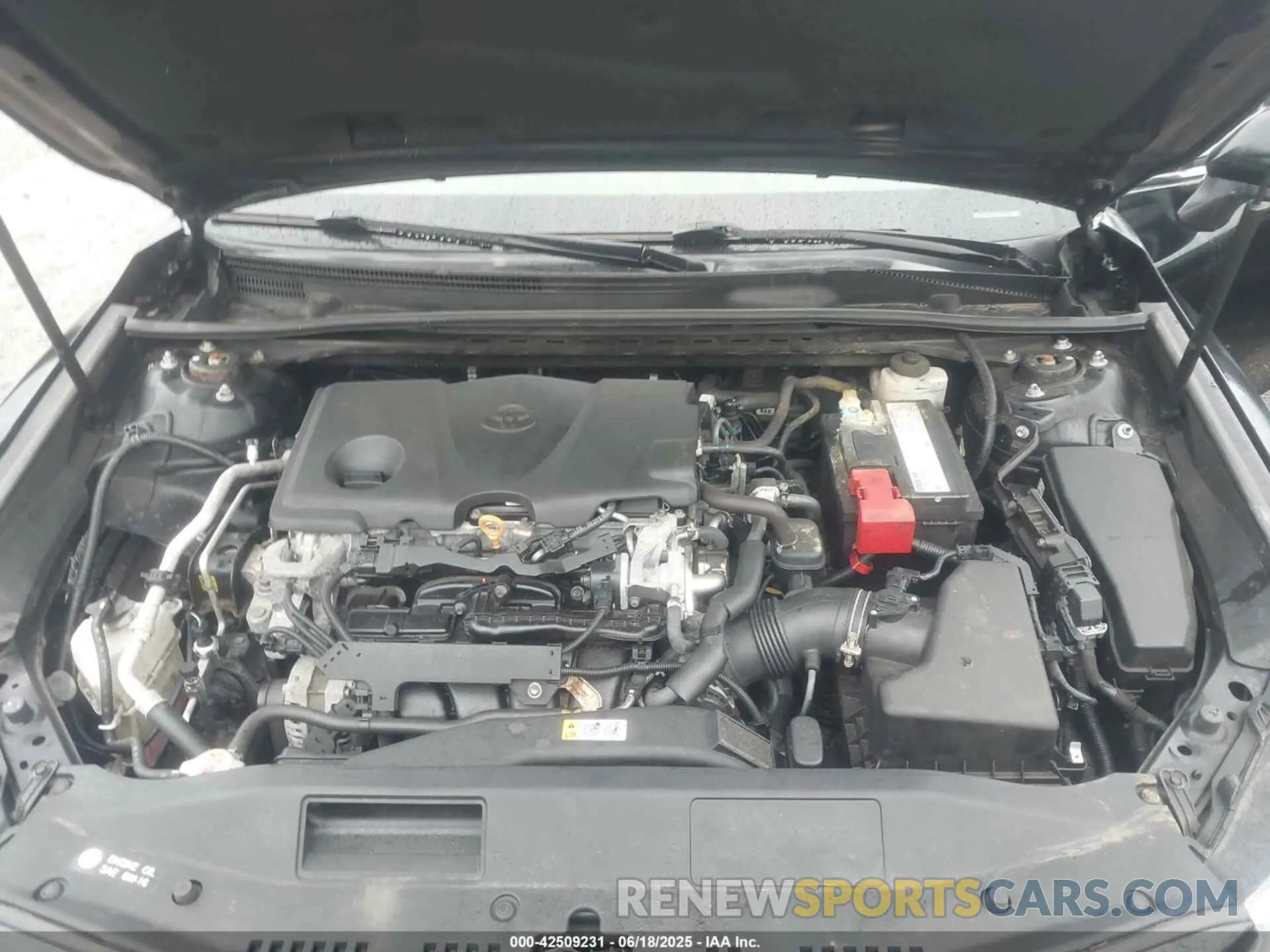 10 fotografías del automóvil dañado 4T1B11HK6KU807972 TOYOTA CAMRY 2019