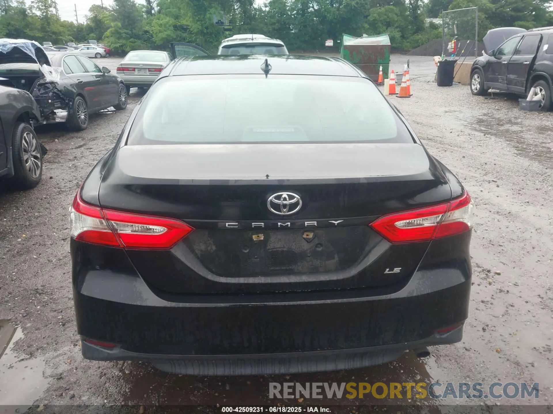 16 fotografías del automóvil dañado 4T1B11HK6KU807972 TOYOTA CAMRY 2019