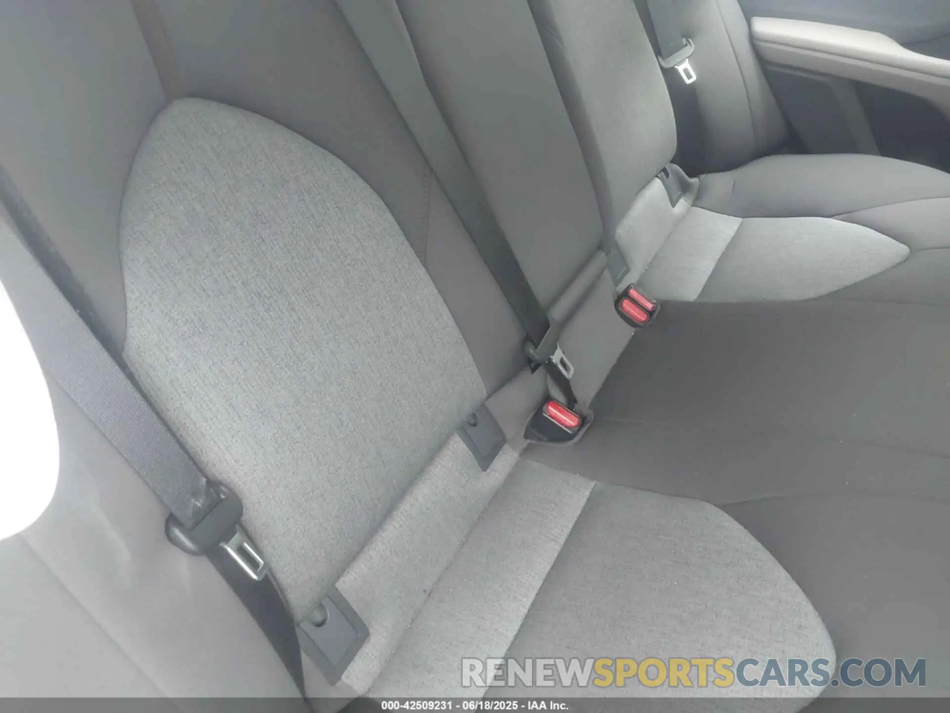 8 fotografías del automóvil dañado 4T1B11HK6KU807972 TOYOTA CAMRY 2019