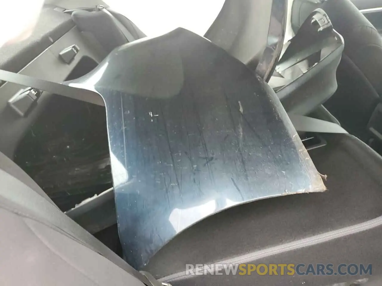 12 fotografías del automóvil dañado 4T1B11HK6KU811469 TOYOTA CAMRY 2019
