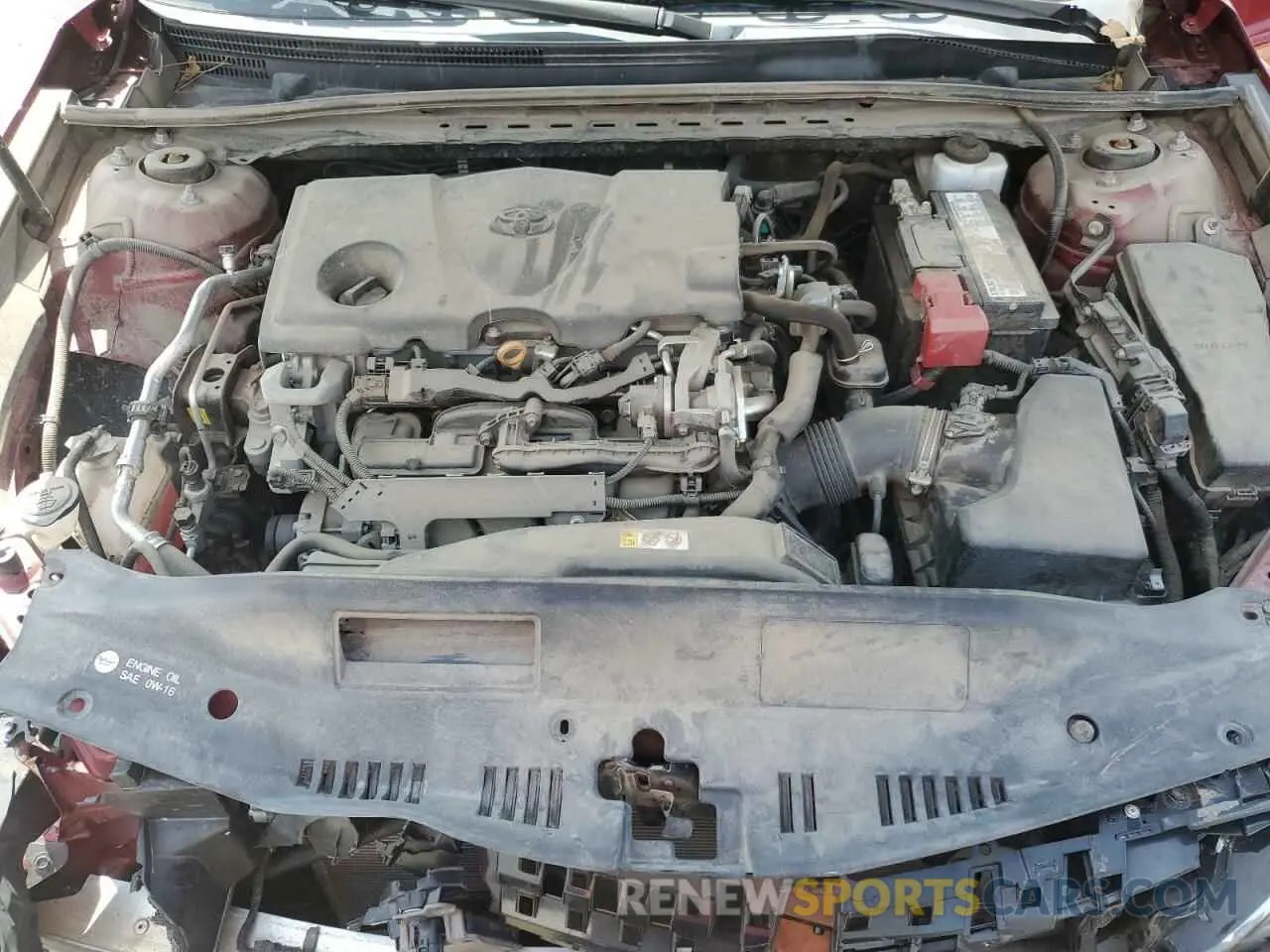 11 fotografías del automóvil dañado 4T1B11HK6KU817630 TOYOTA CAMRY 2019