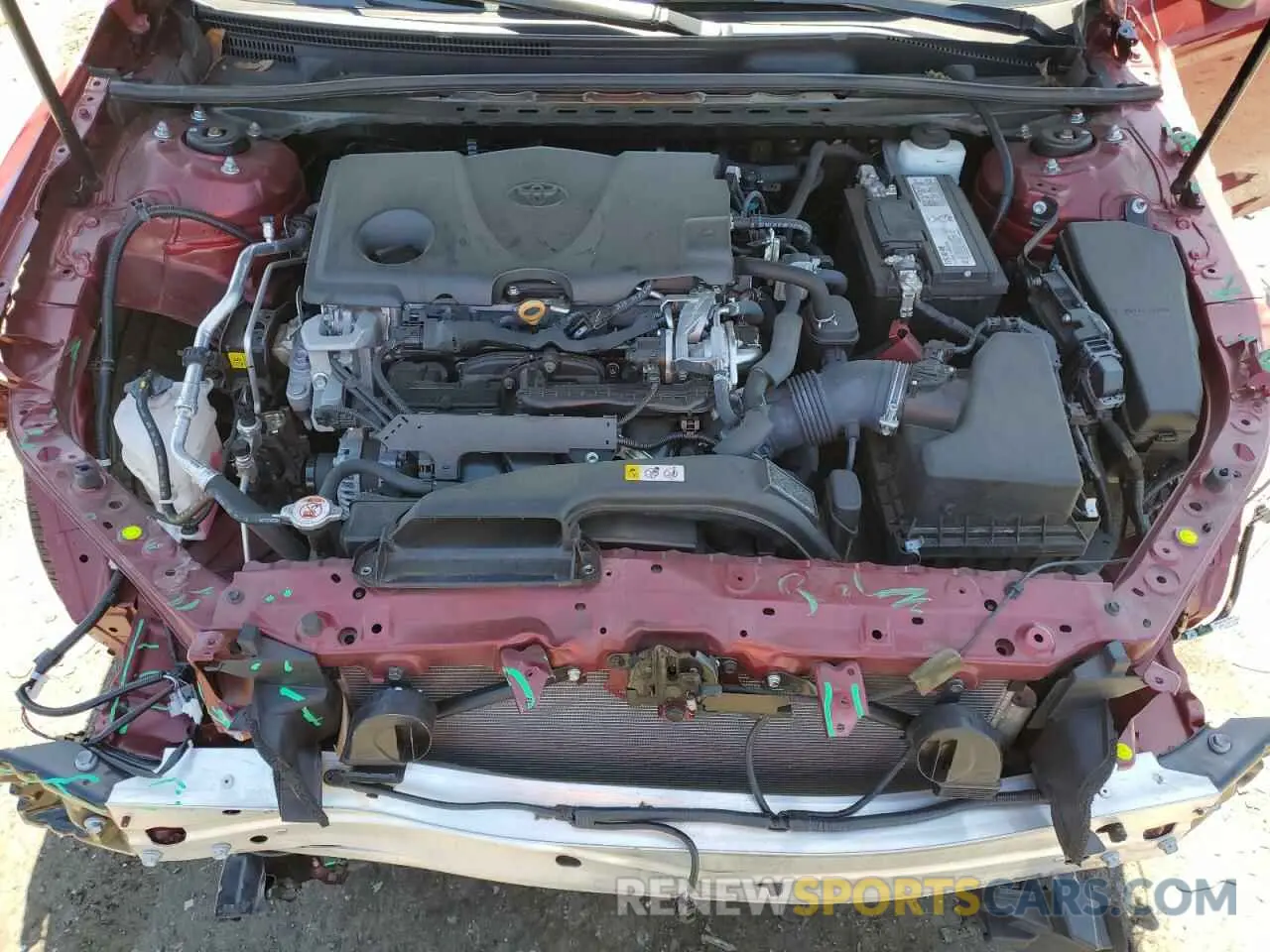 11 fotografías del automóvil dañado 4T1B11HK6KU822634 TOYOTA CAMRY 2019