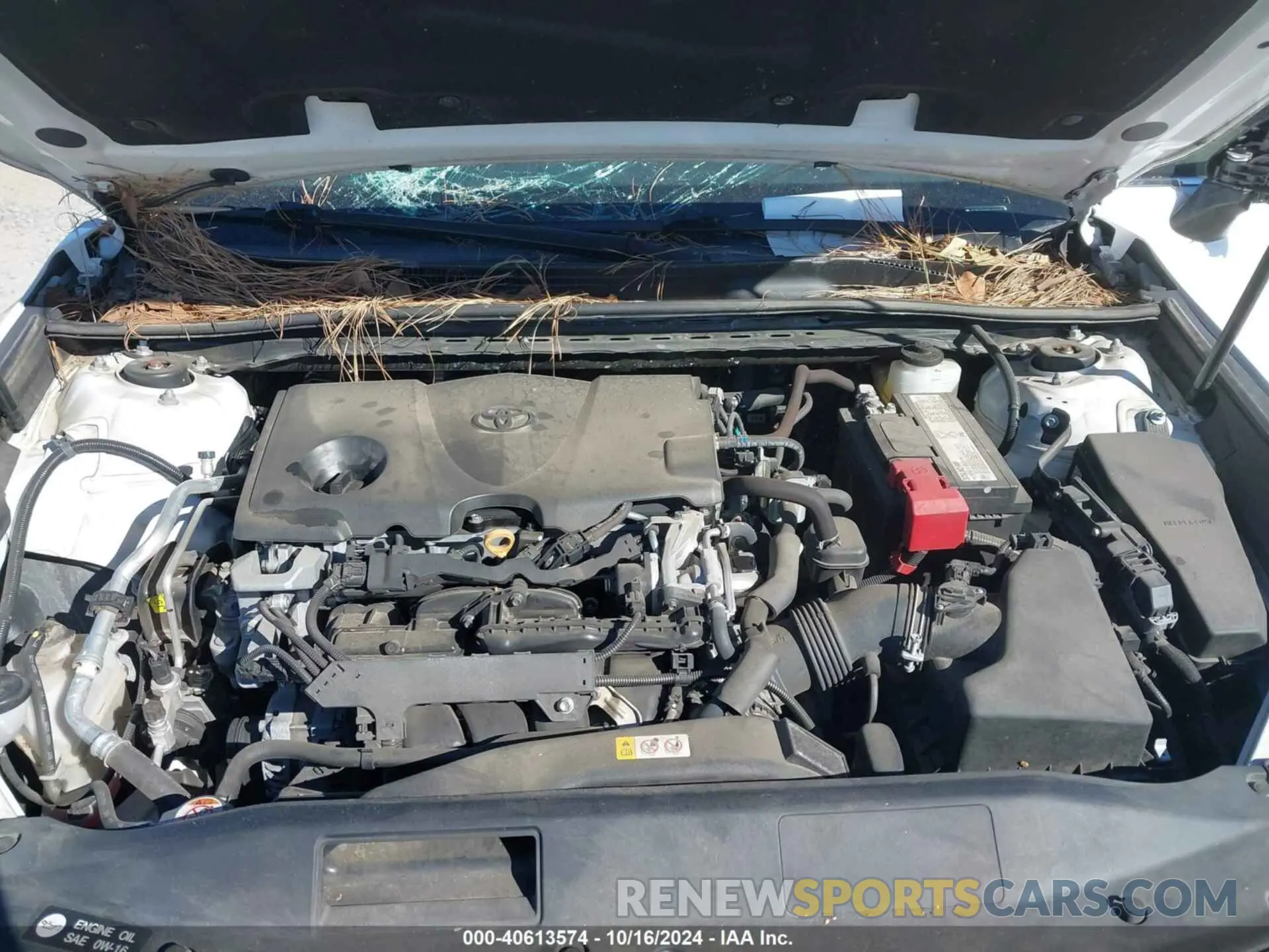 10 fotografías del automóvil dañado 4T1B11HK6KU823783 TOYOTA CAMRY 2019