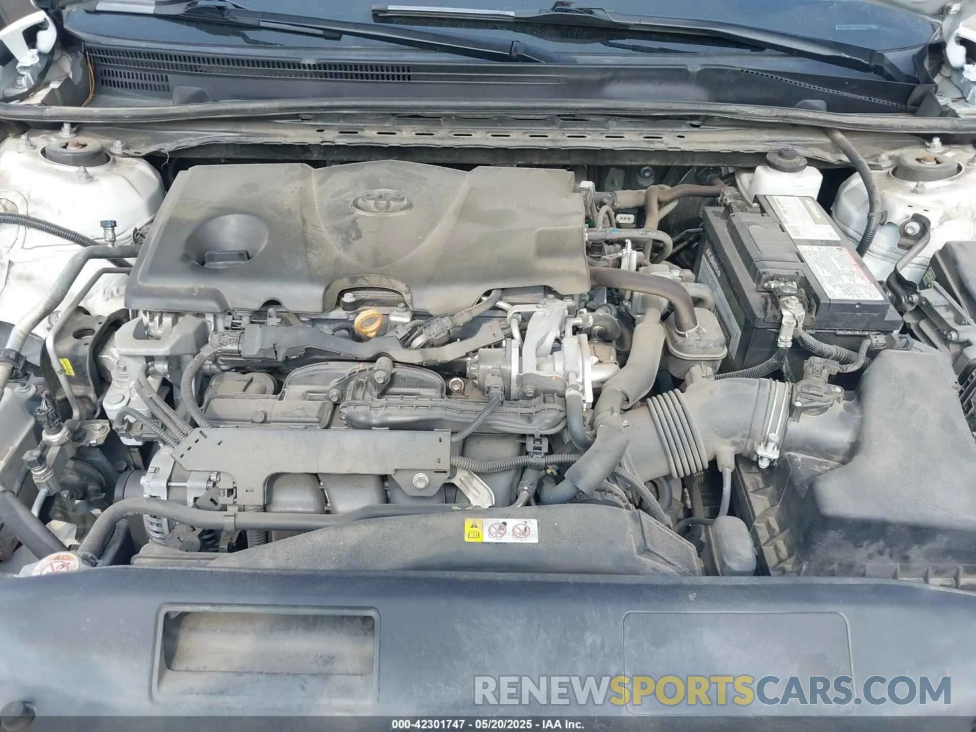 10 fotografías del automóvil dañado 4T1B11HK6KU847730 TOYOTA CAMRY 2019