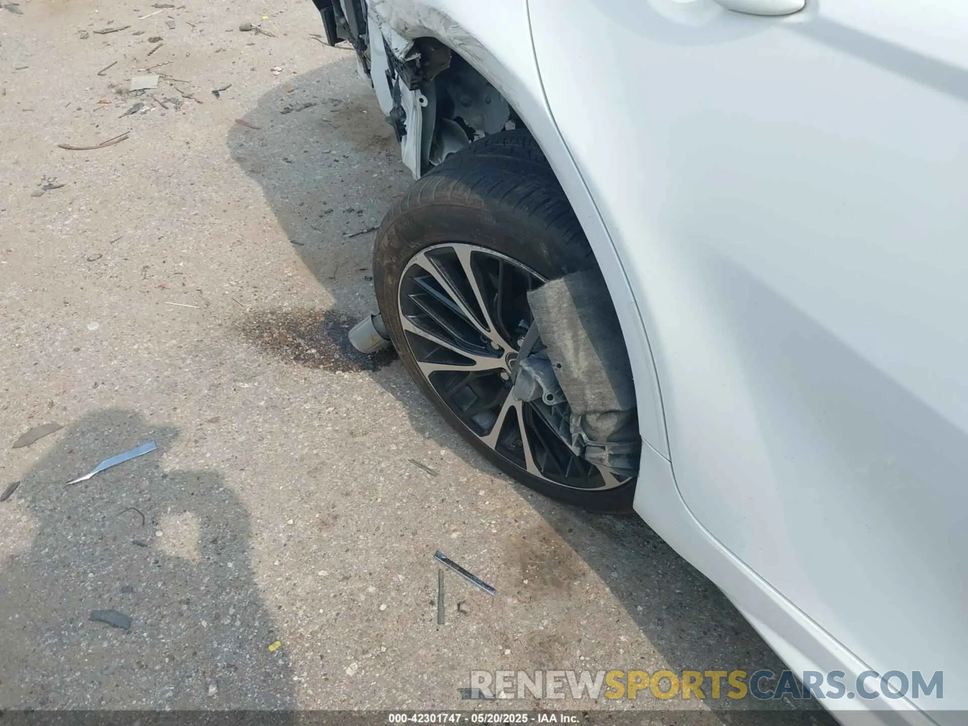 6 fotografías del automóvil dañado 4T1B11HK6KU847730 TOYOTA CAMRY 2019