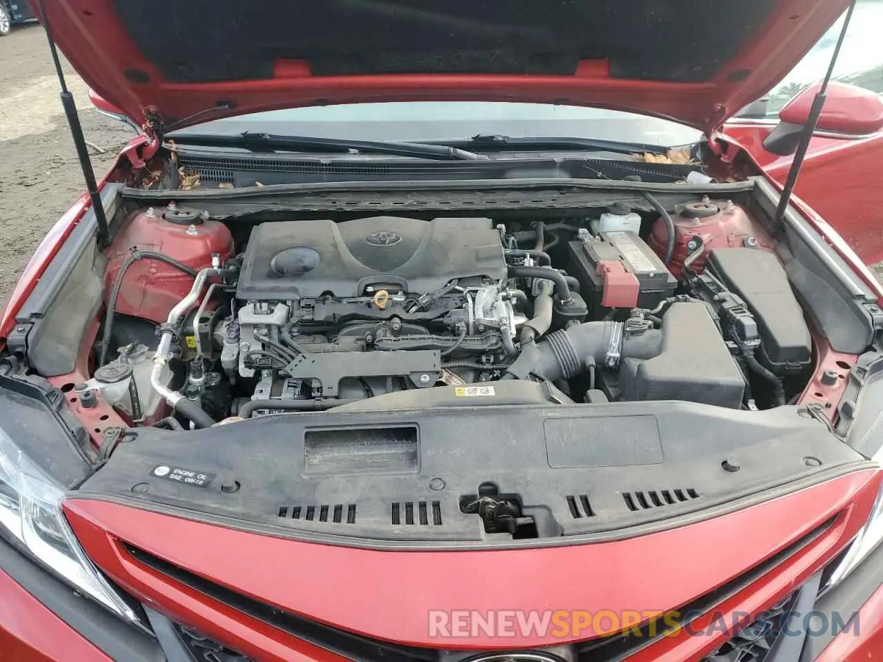 11 fotografías del automóvil dañado 4T1B11HK7KU167190 TOYOTA CAMRY 2019