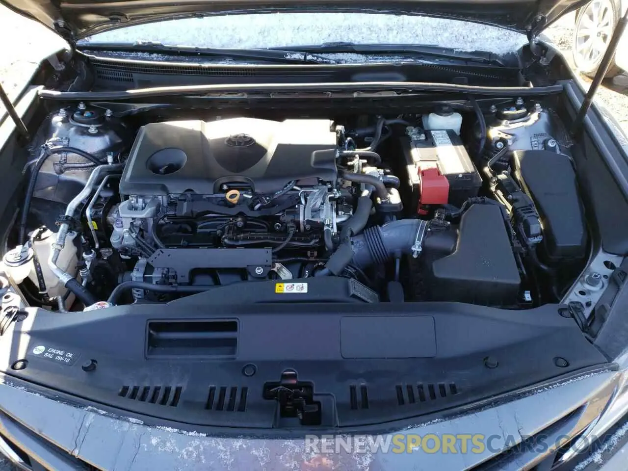 7 fotografías del automóvil dañado 4T1B11HK7KU172308 TOYOTA CAMRY 2019
