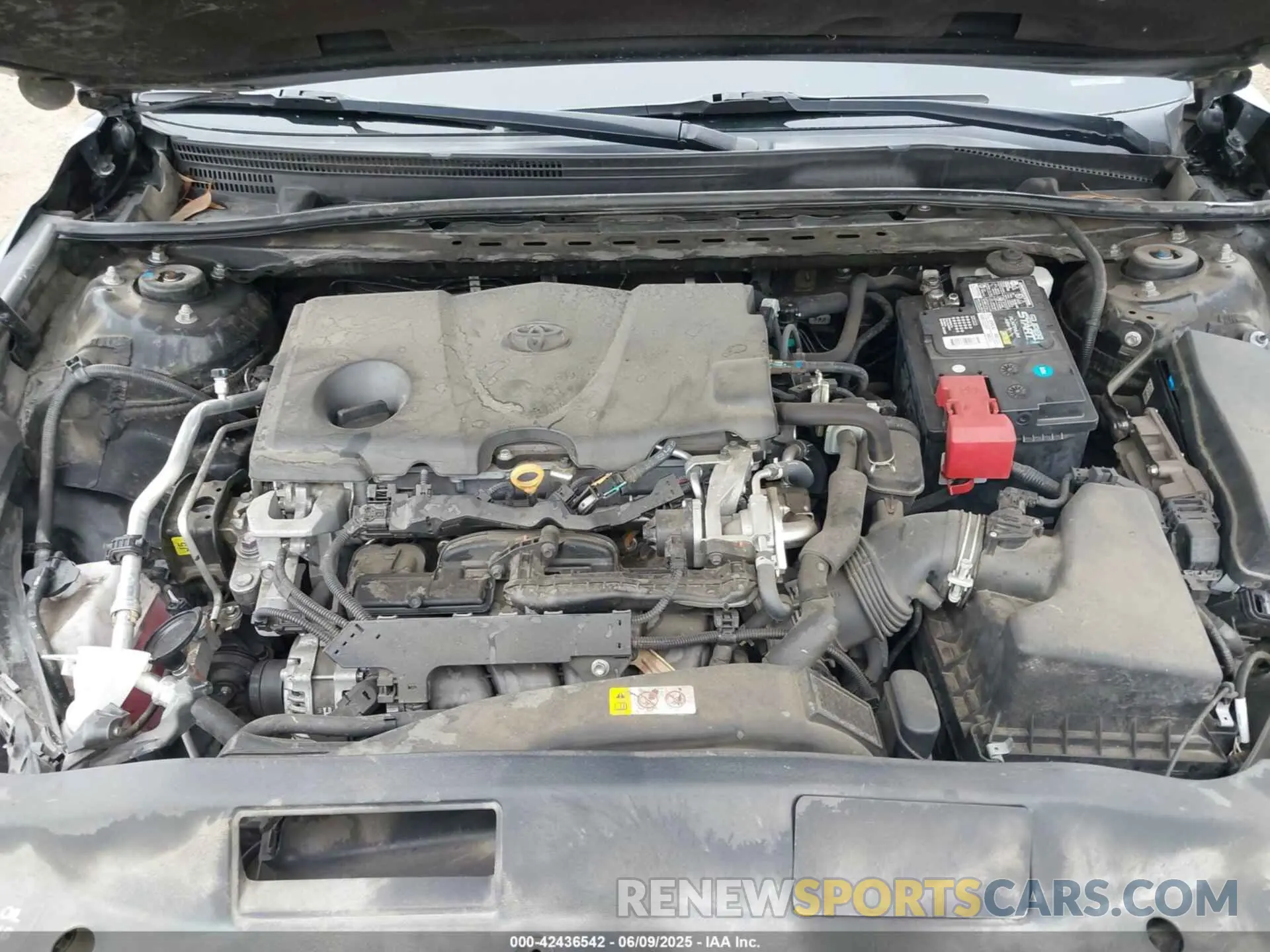 10 fotografías del automóvil dañado 4T1B11HK7KU210863 TOYOTA CAMRY 2019