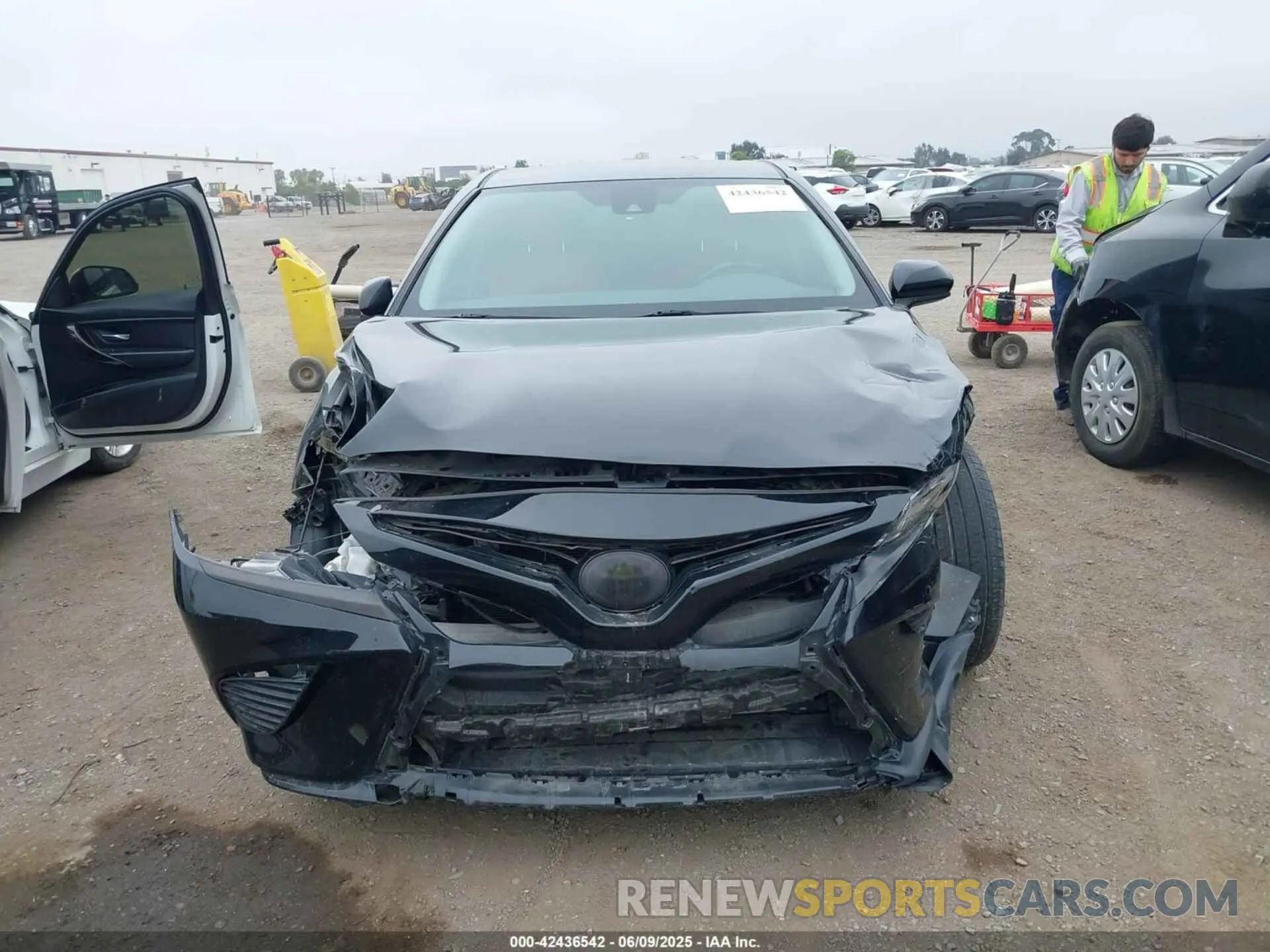 12 fotografías del automóvil dañado 4T1B11HK7KU210863 TOYOTA CAMRY 2019