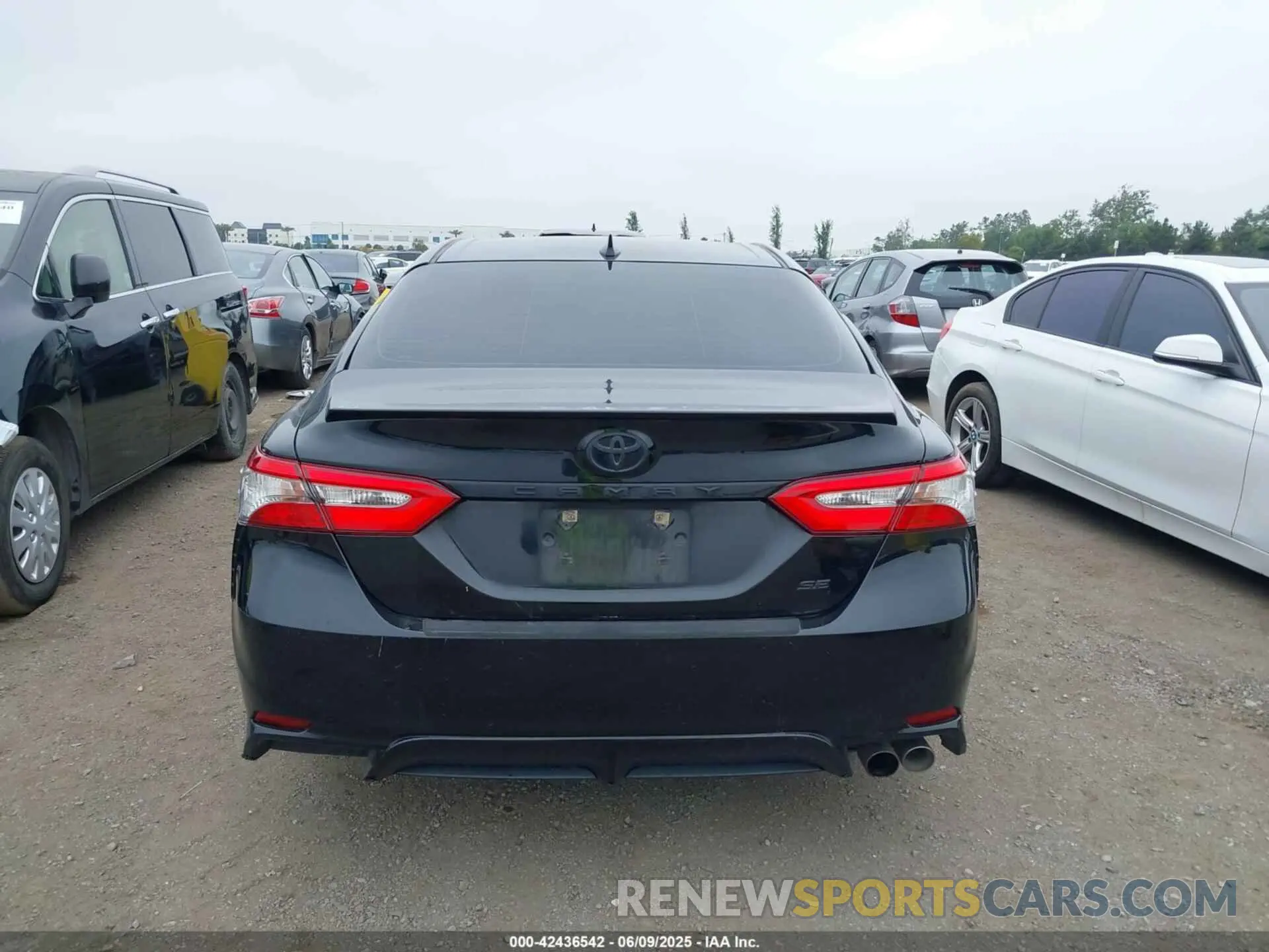 16 fotografías del automóvil dañado 4T1B11HK7KU210863 TOYOTA CAMRY 2019