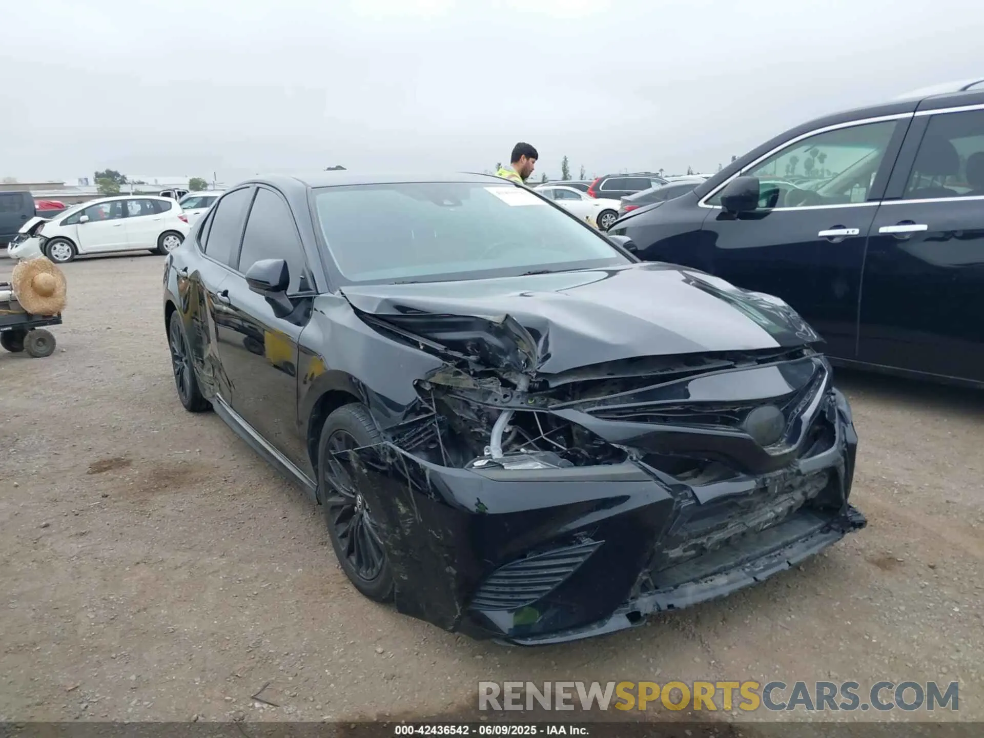 6 fotografías del automóvil dañado 4T1B11HK7KU210863 TOYOTA CAMRY 2019