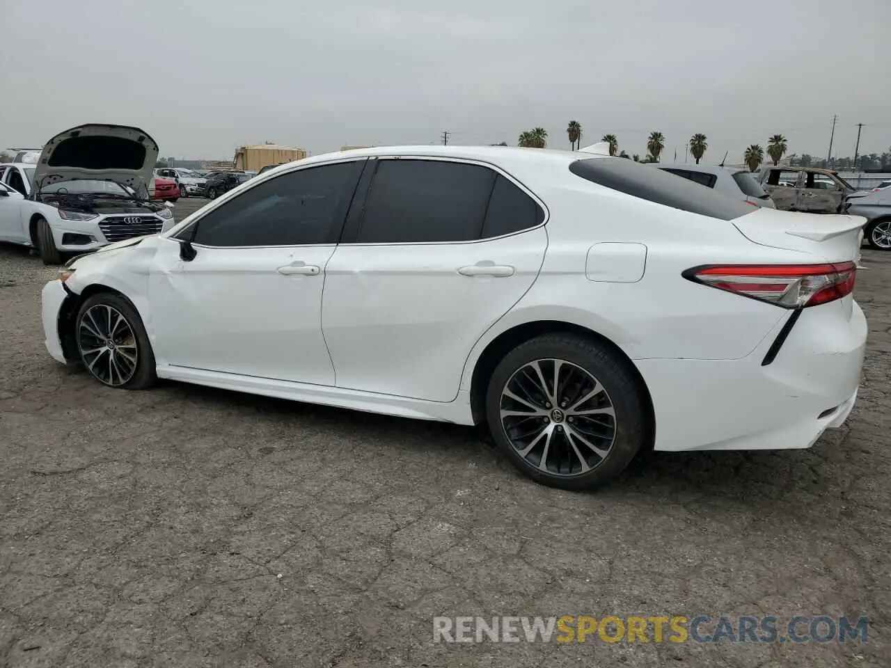 2 fotografías del automóvil dañado 4T1B11HK7KU217232 TOYOTA CAMRY 2019